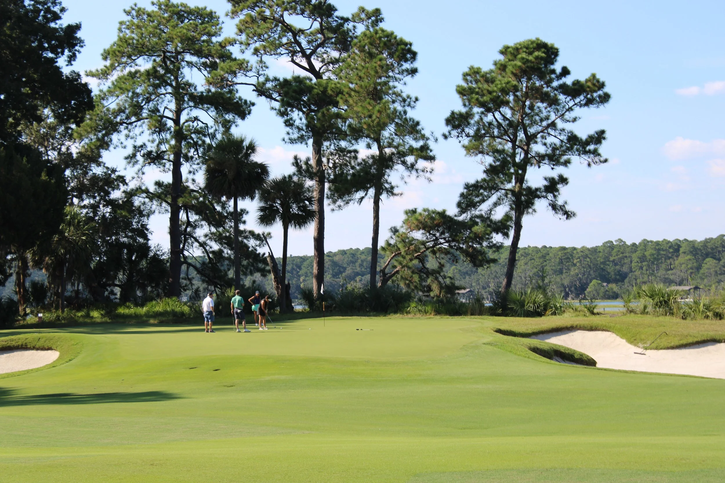A golf course with four people preparing to putt on the green, surrounded by tall trees and a clear blue sky.