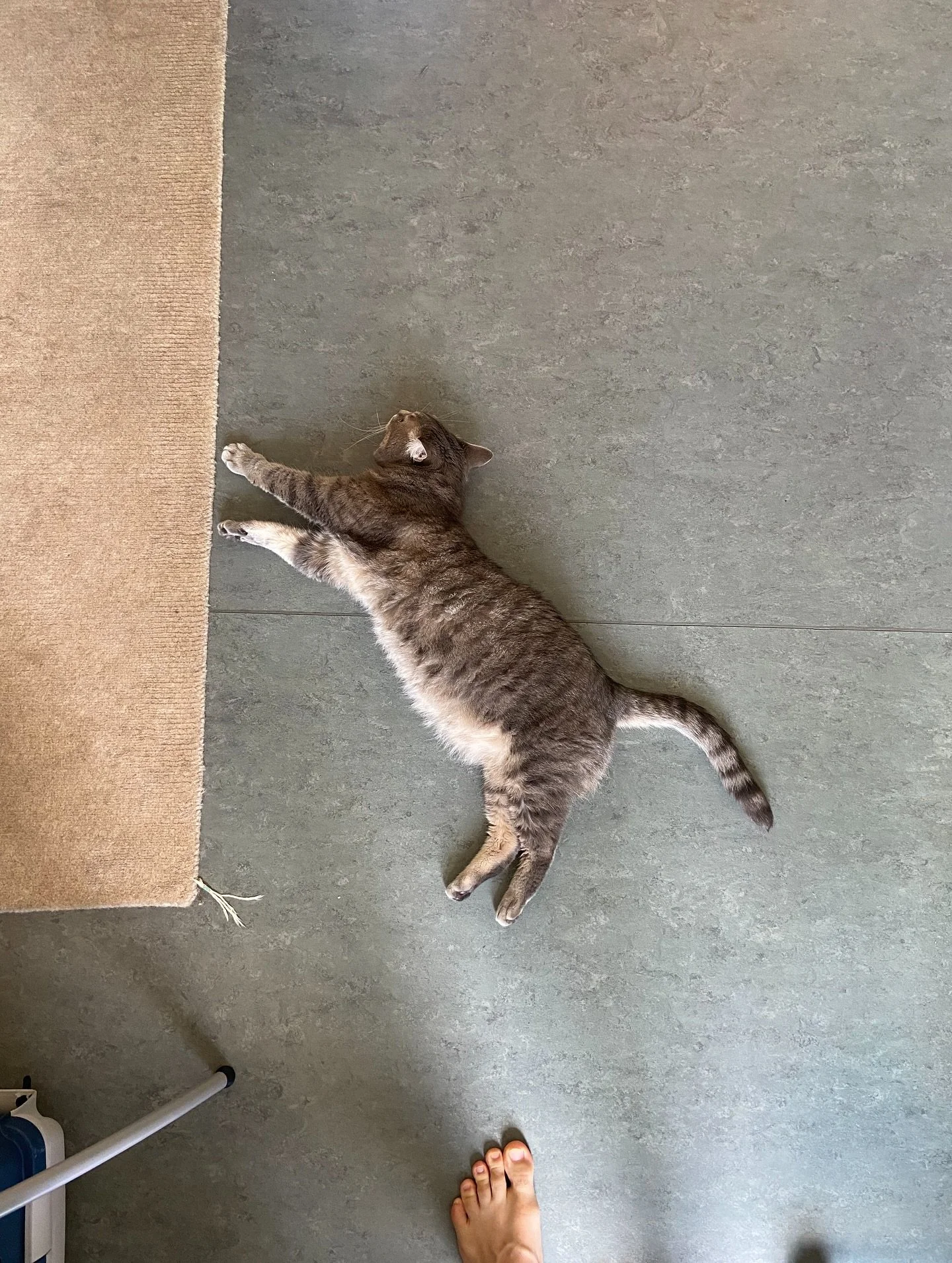 Little bits of life lately