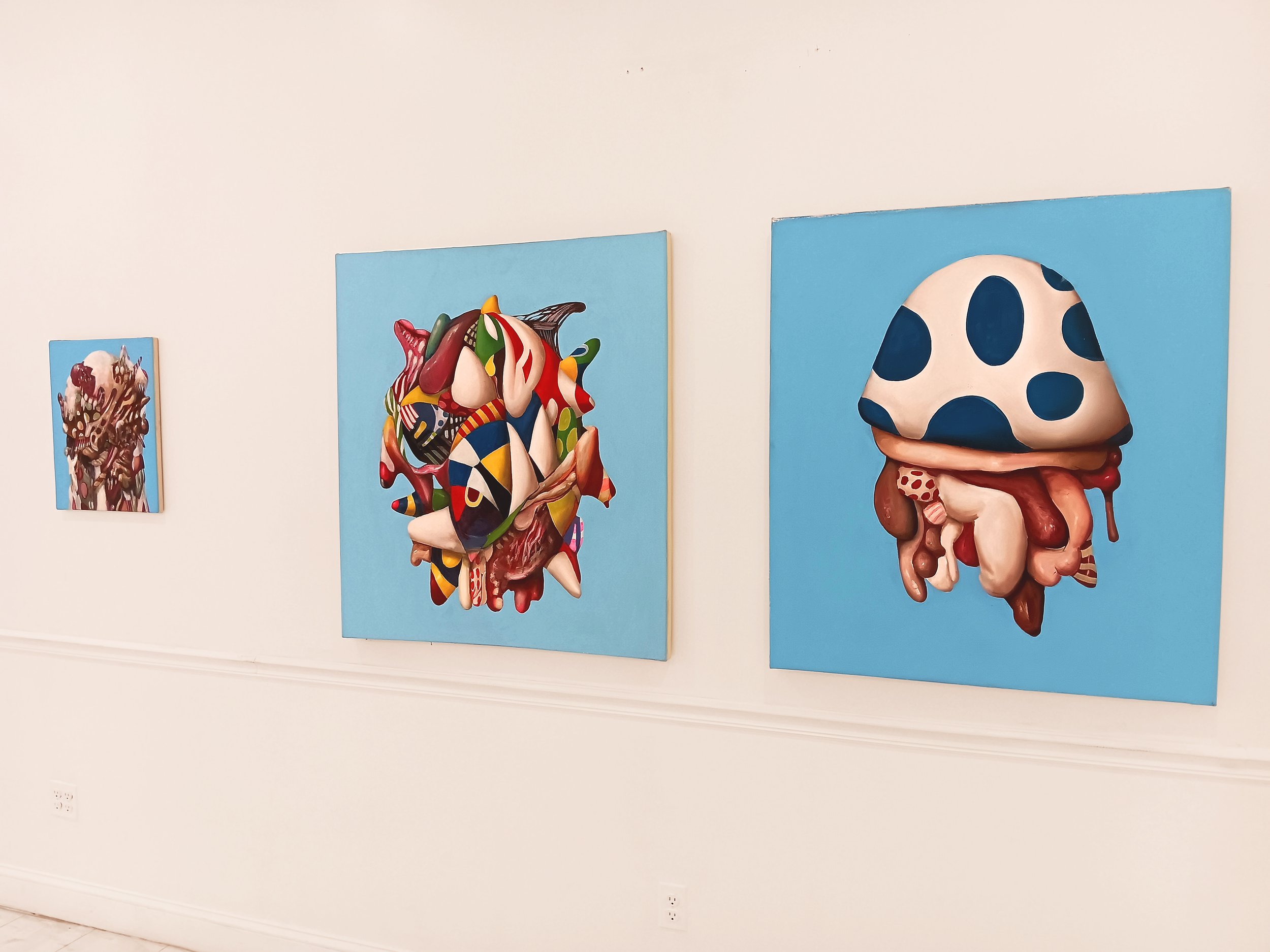 Solo Exhibition, Boerum Hall, New York City, 2023