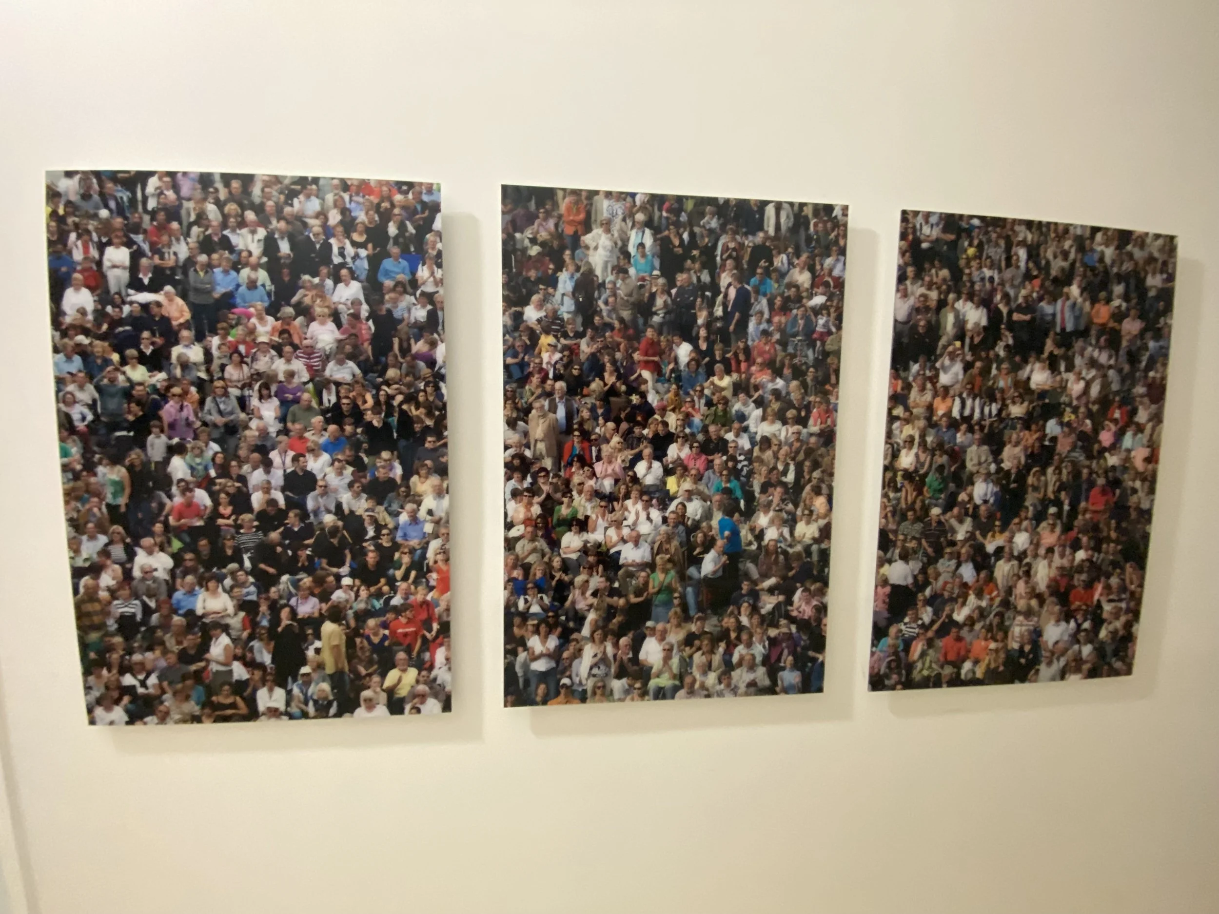 IMG_9037.jpeg