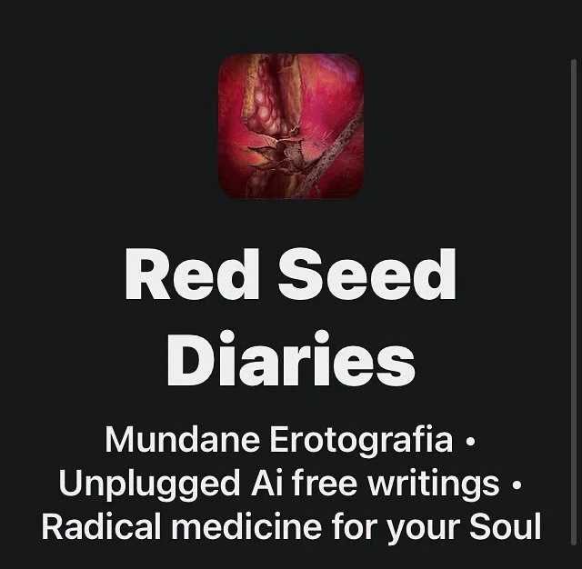 Dear Friends, the time has come! 
I am not going to be using Instagram/Facebook anymore.

I will be posting my writing and photography twice monthly (new/full moon) on Substack (subscribe via link in bio)

My email is lizzieluzwoolfenden@gmail.com 
&