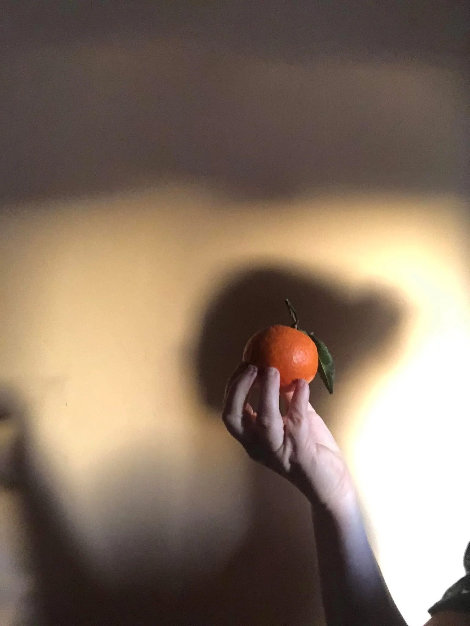 &lsquo;If there is any instrument you must fall in love with and fetishize, it is the human brain&mdash;the most miraculous, awe-inspiring, information-processing tool devised in the known universe, with a complexity we can&rsquo;t even begin to fath