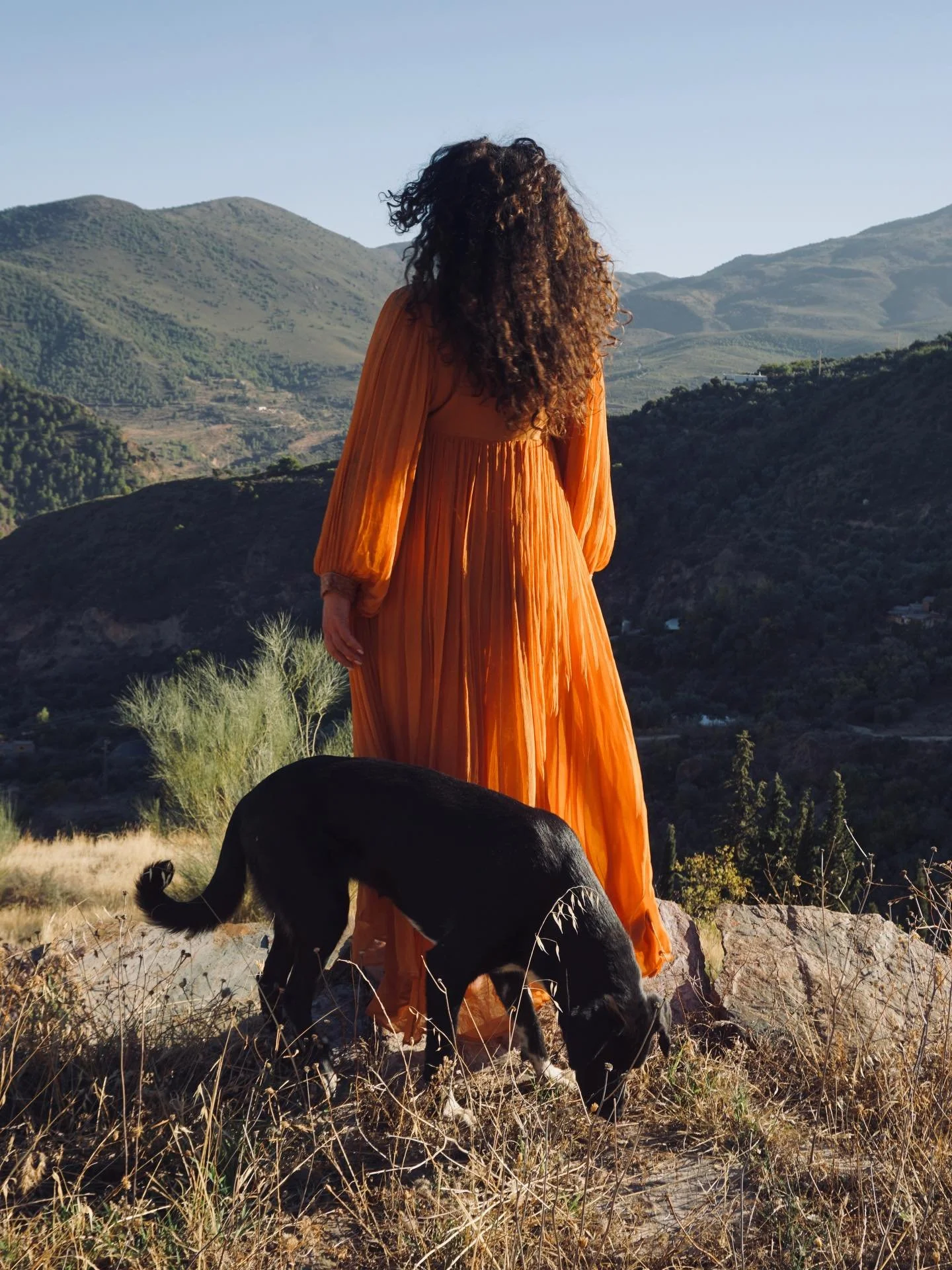 31 day income sprint for creatives!
see comments for details