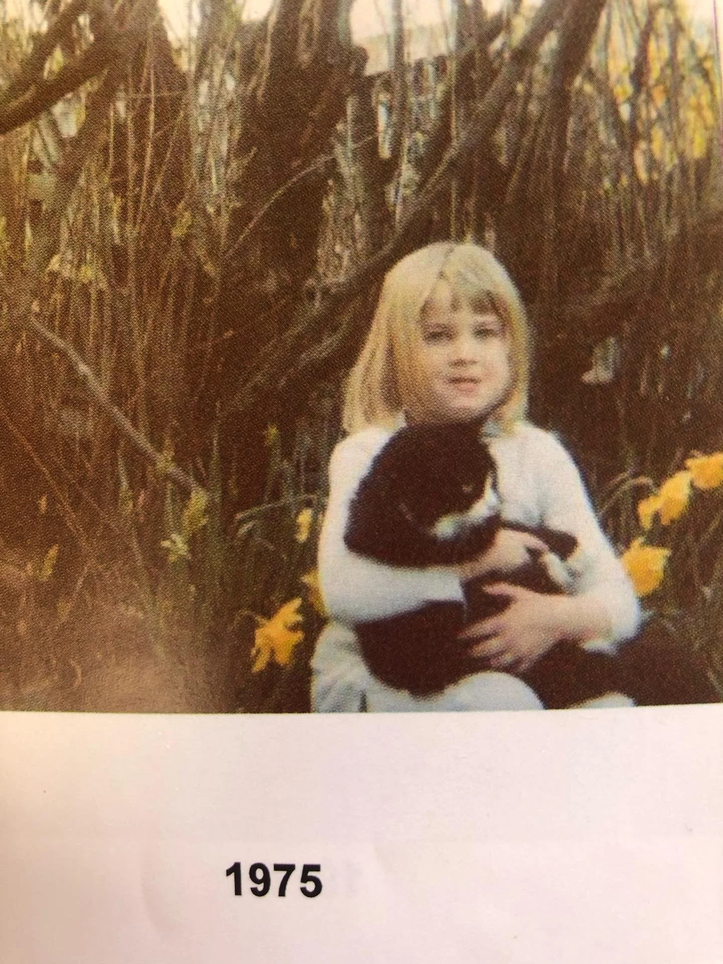 Are some people &lsquo;just lucky&rsquo;?

I&rsquo;ve often been told that I was born lucky; 

&lsquo;Lucky Lizzie&rsquo;

I don&rsquo;t think so.

I think it&rsquo;s a combination of expressing VERY CLEARLY what I want and also the result of practic