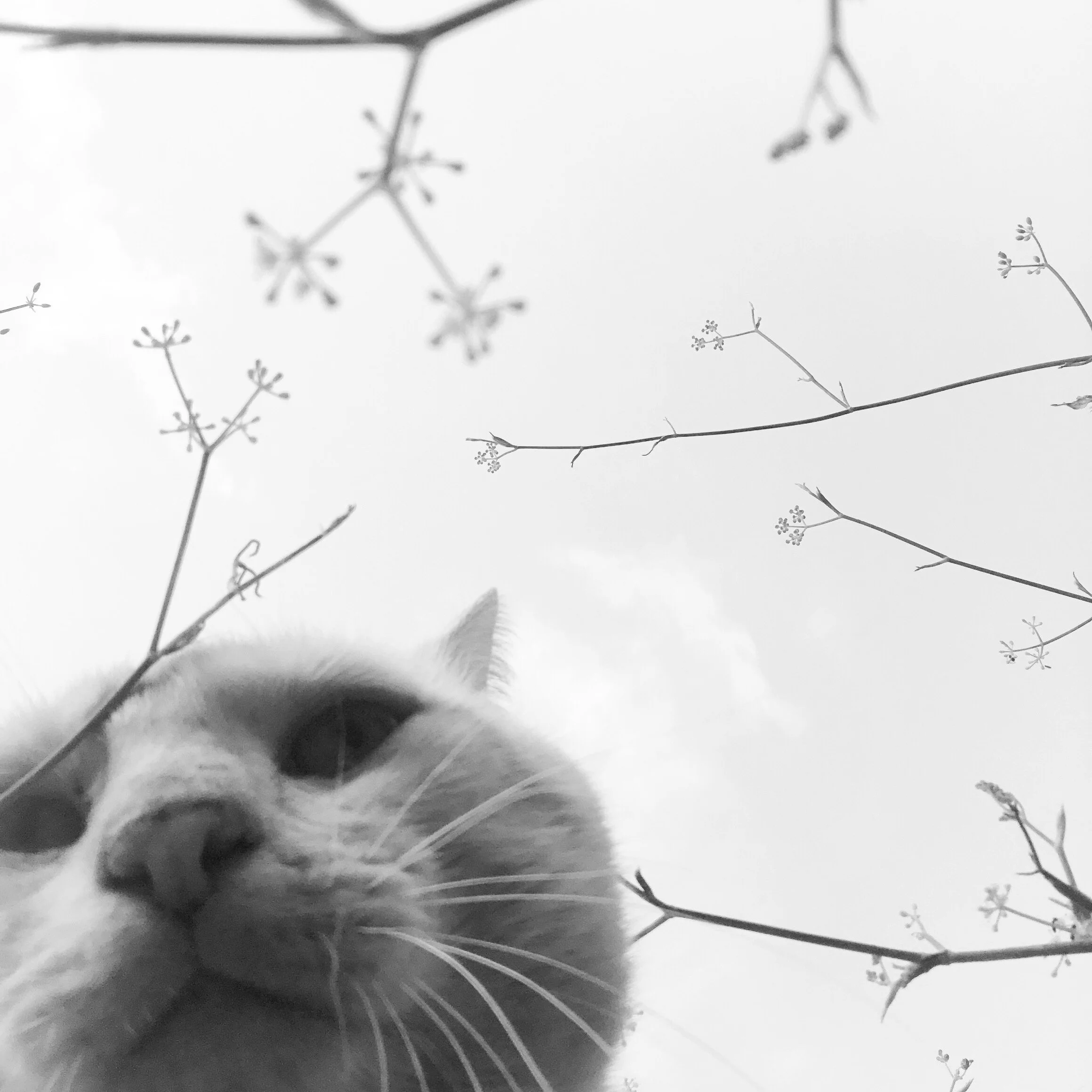 37031CF2-B77B-4854-ACE6-188E78C72D3B 4.jpg