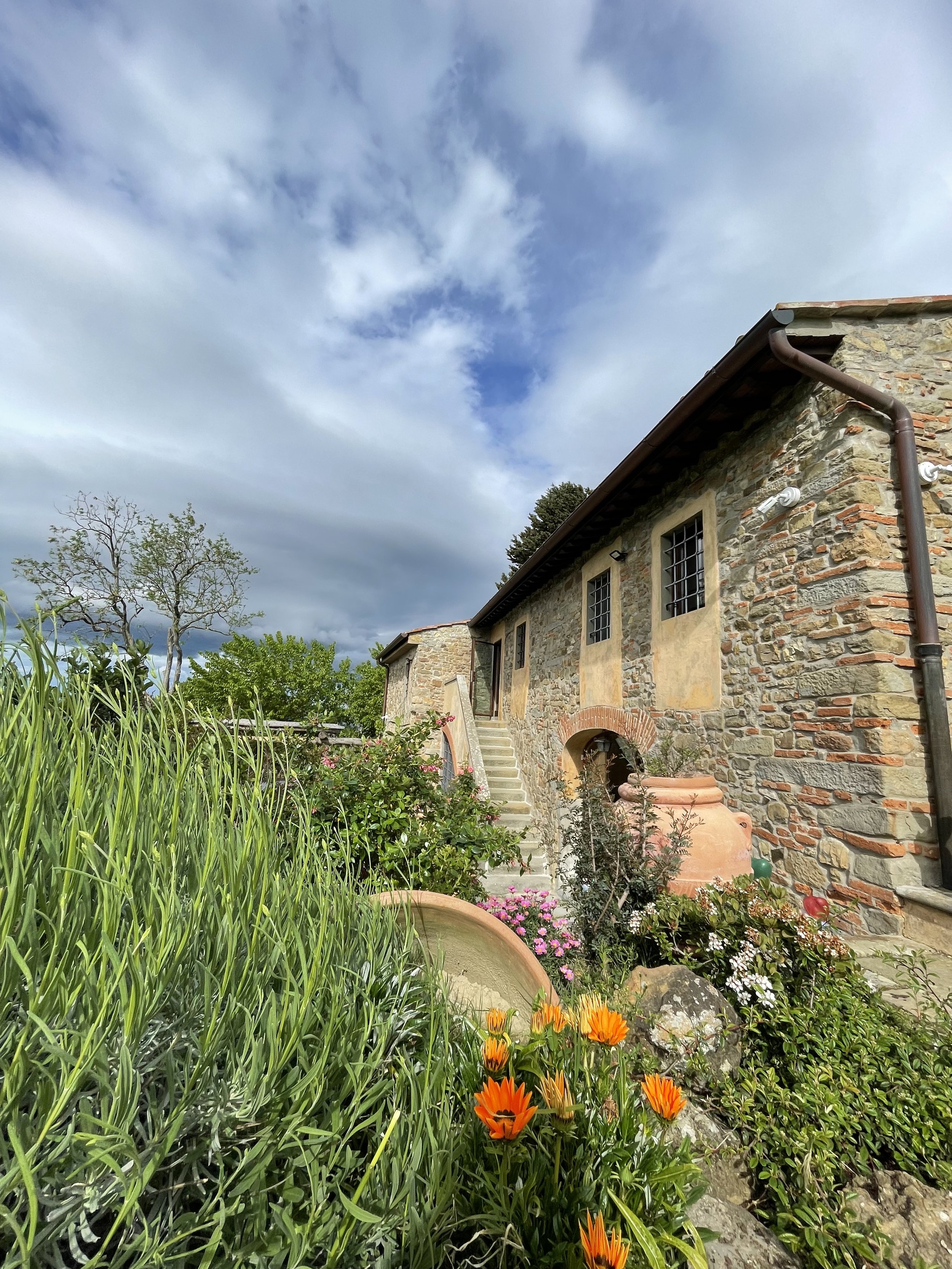 Manutenzione giardini Toscana Colzi Giardini
