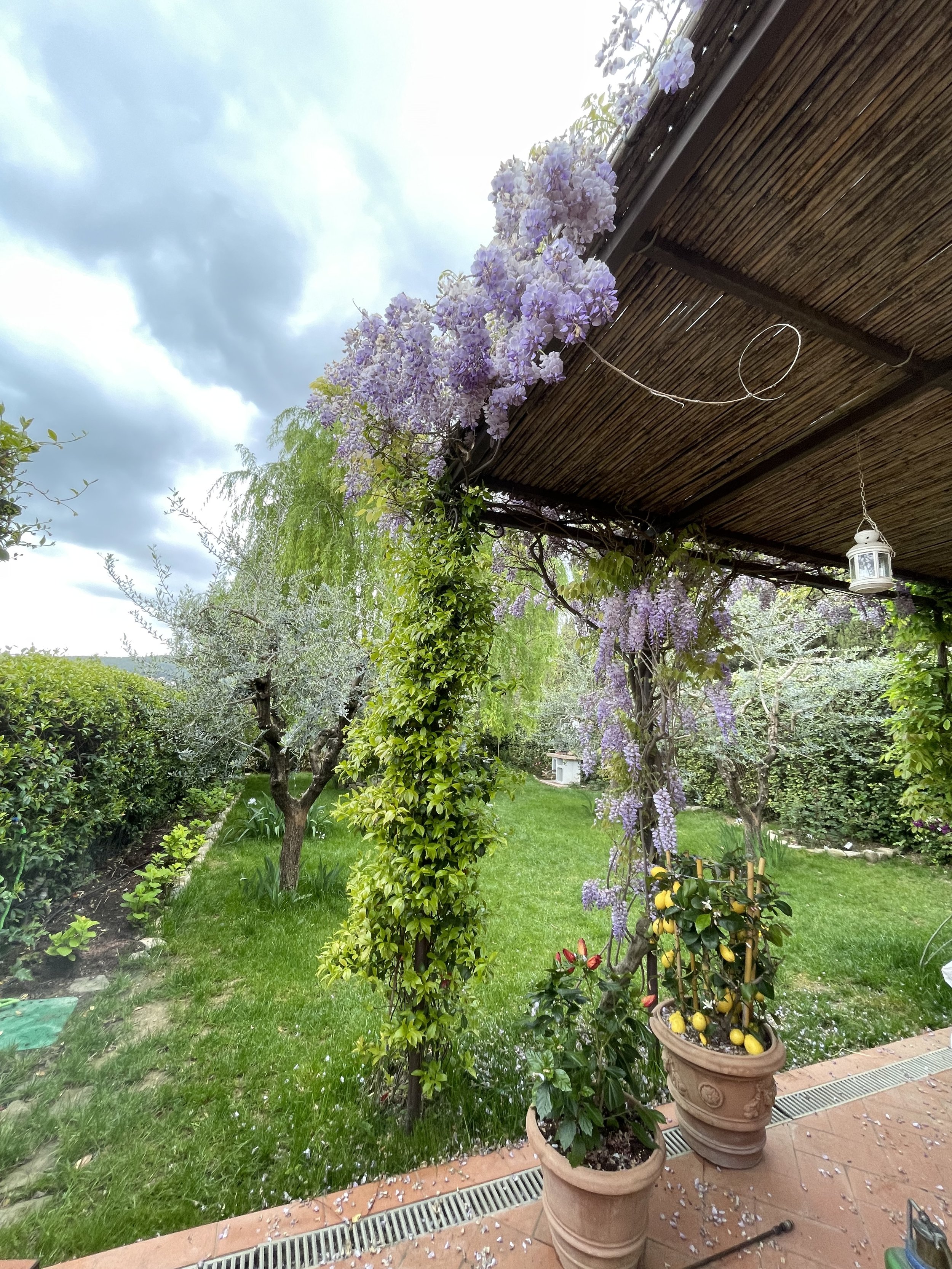 Realizzazione giardini Prato Colzi Giardini