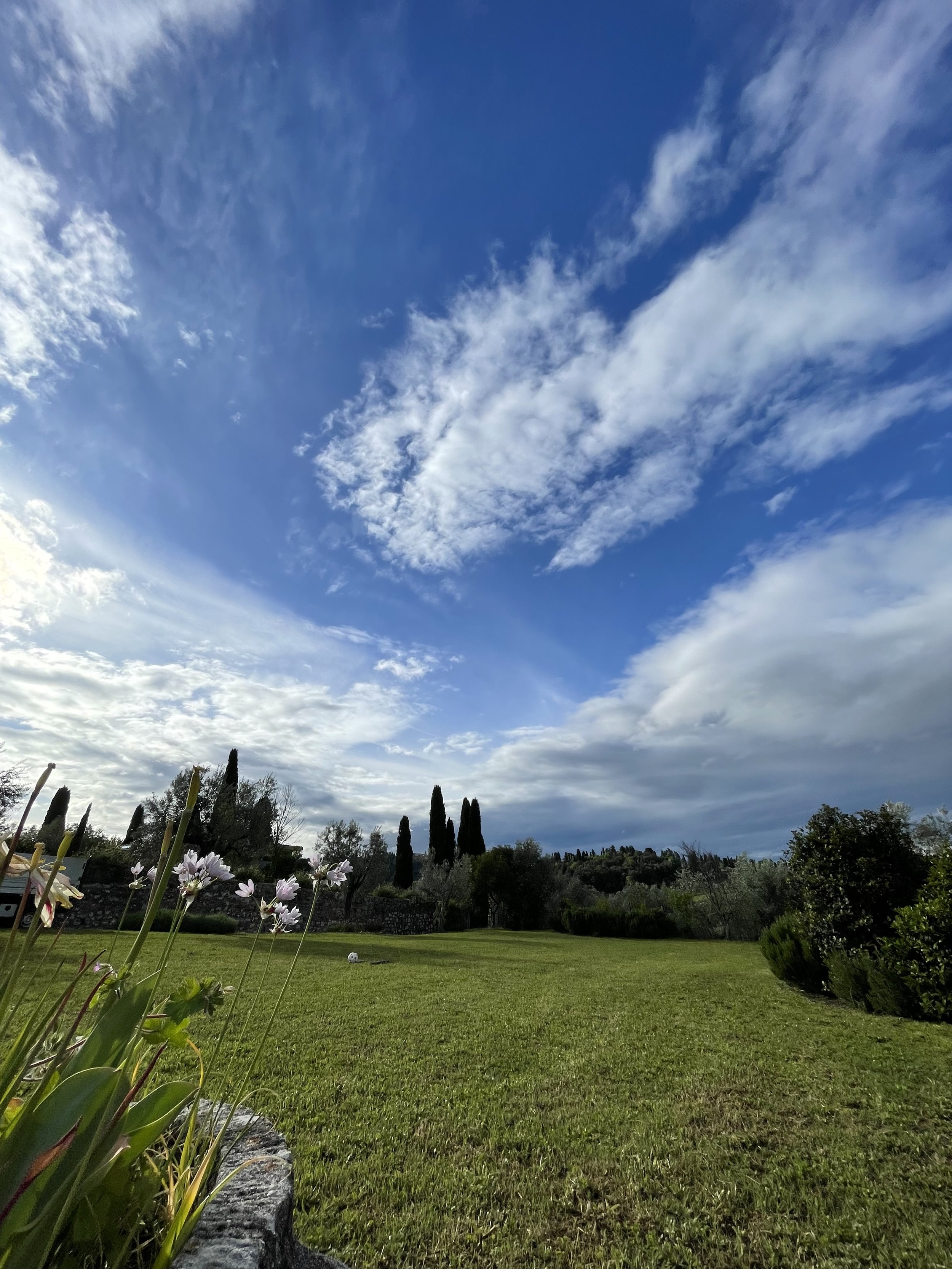Manutenzione giardini Colzi Giardini