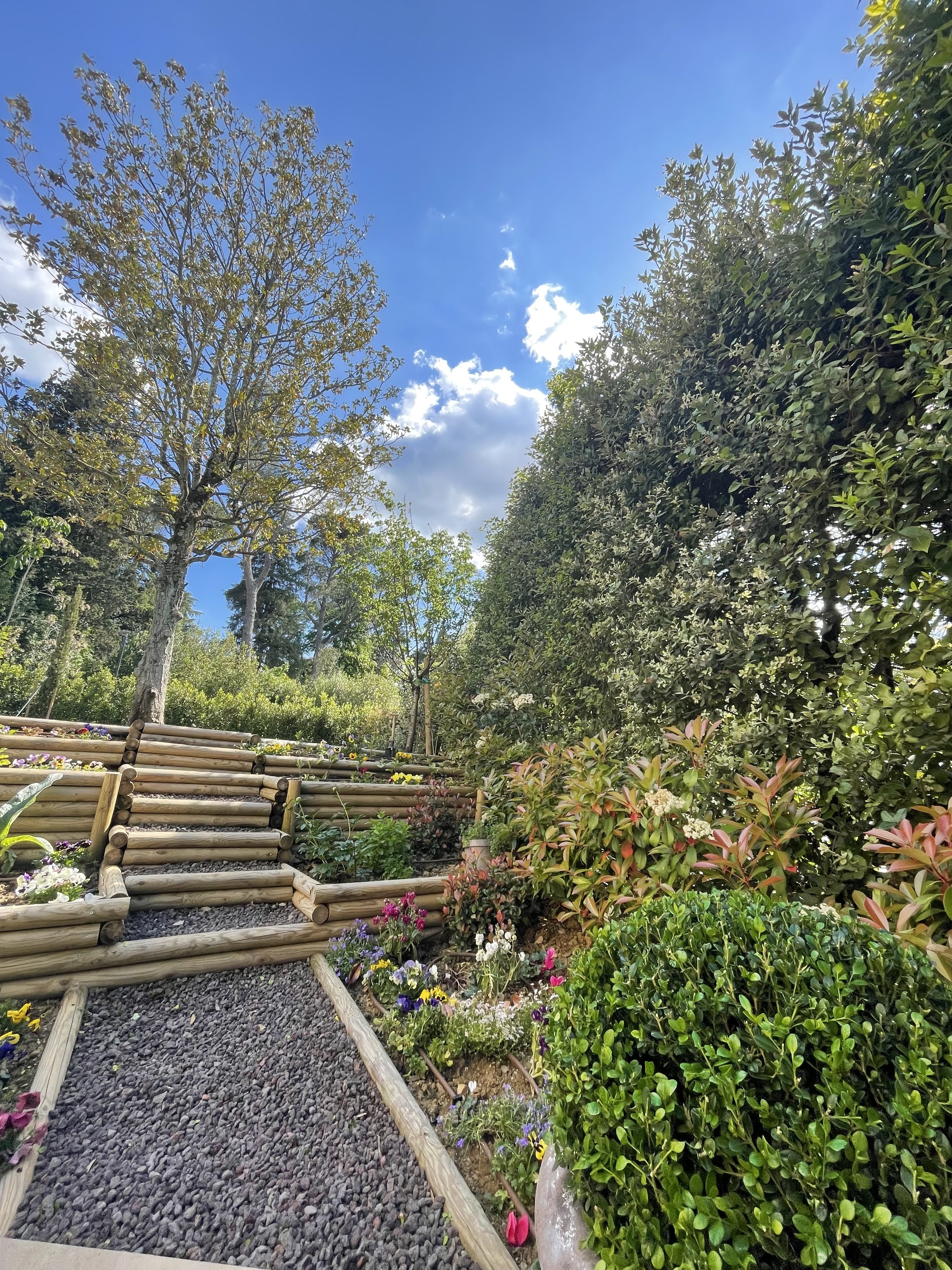 Manutenzione giardini Firenze Colzi Giardini