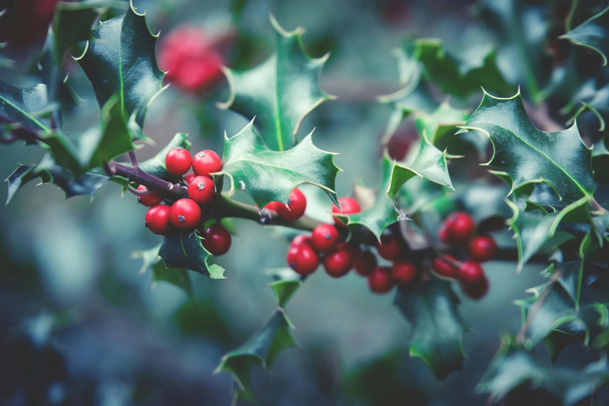 A Quick Reminder About Holiday Magic
