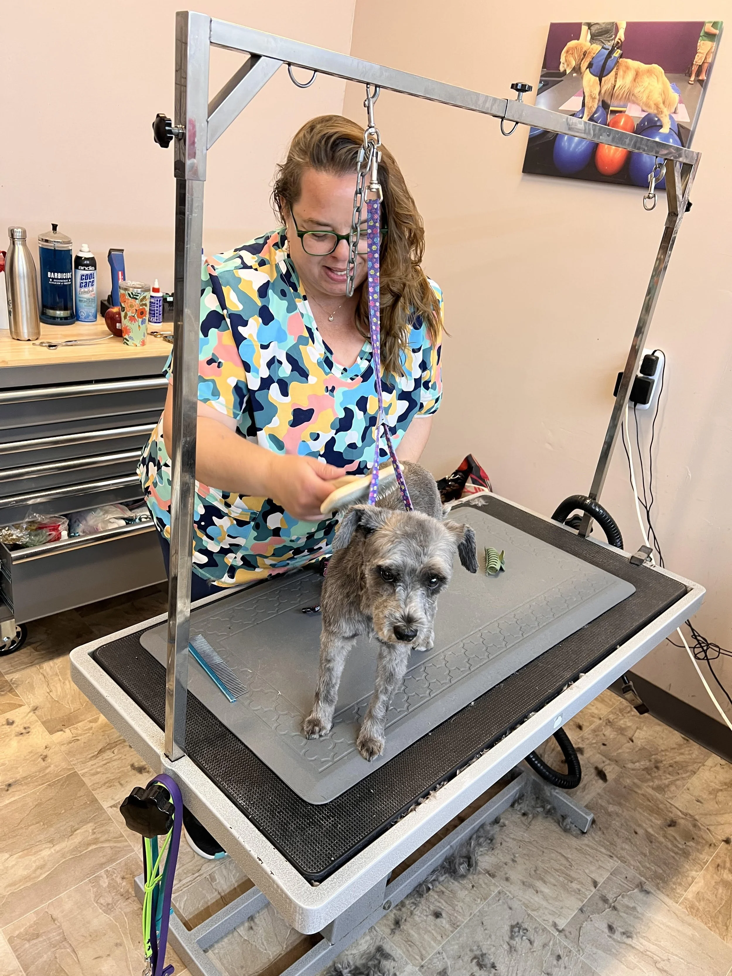 A woman giving a bath to a small dog on a grooming table, with grooming supplies and tools visible in the background.