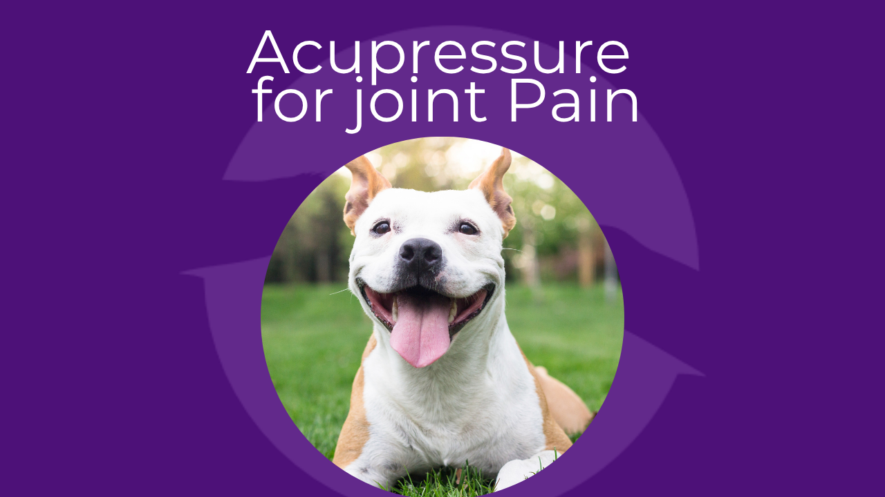 Acupuncture for joint disease (1).png