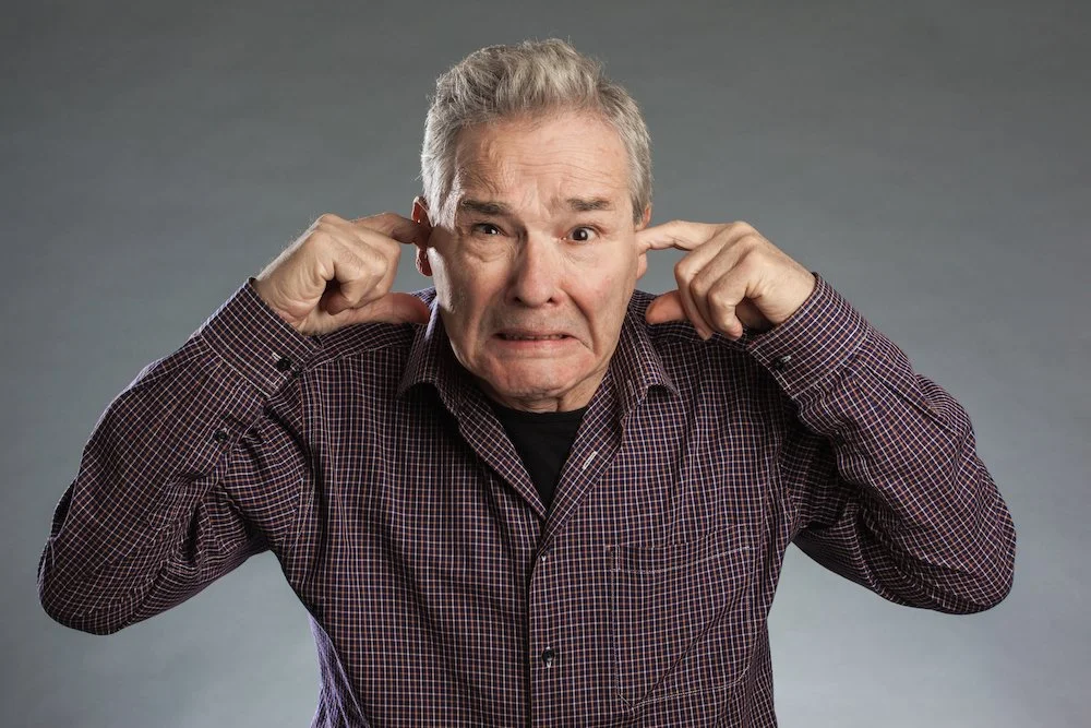 What does hearing damage from noise sound like?