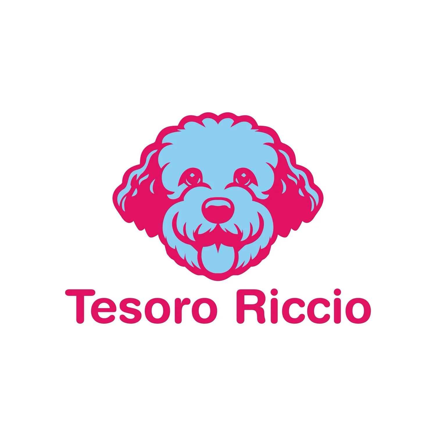 Tesoro Riccio   Lagotto Romagnolo