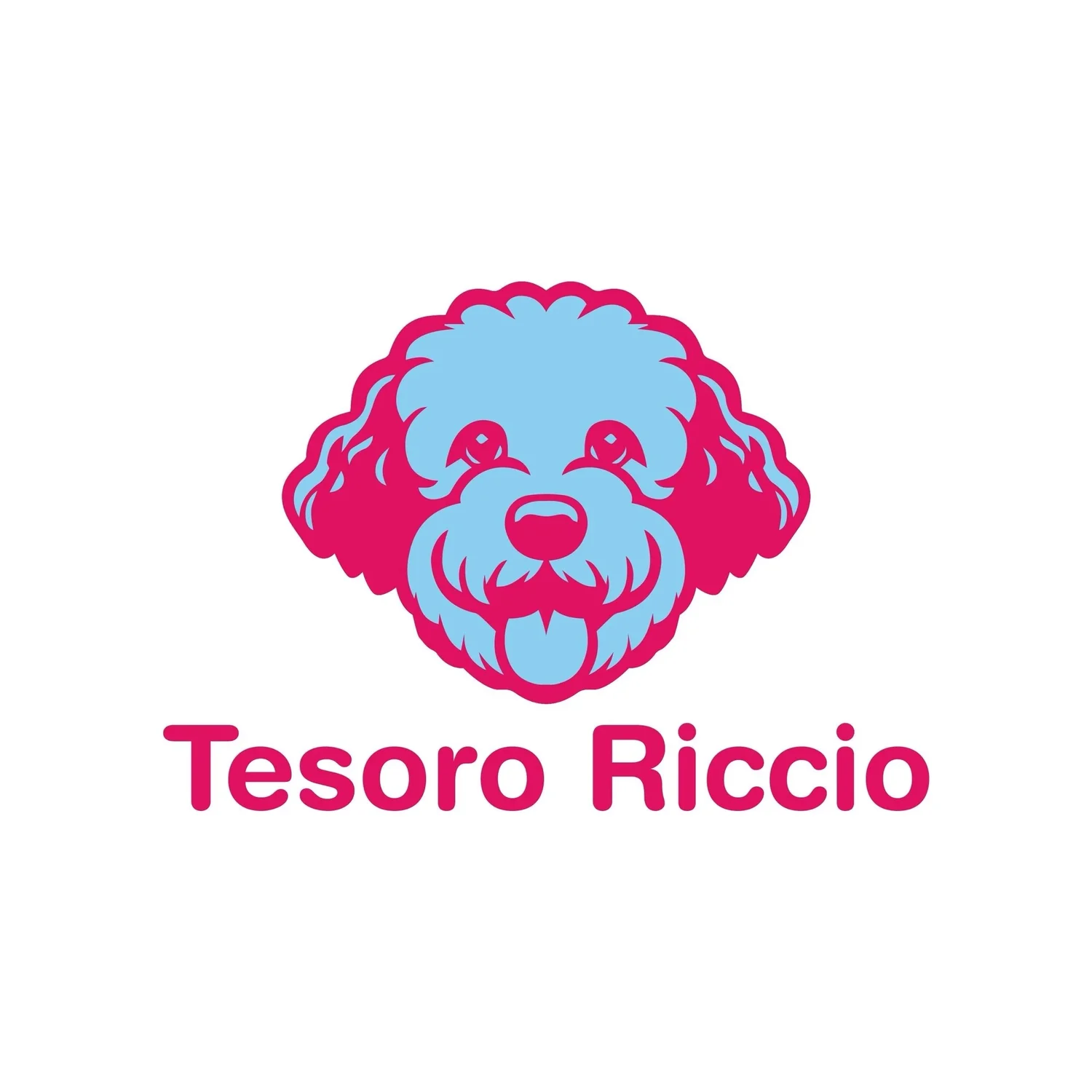 Tesoro Riccio   Lagotto Romagnolo