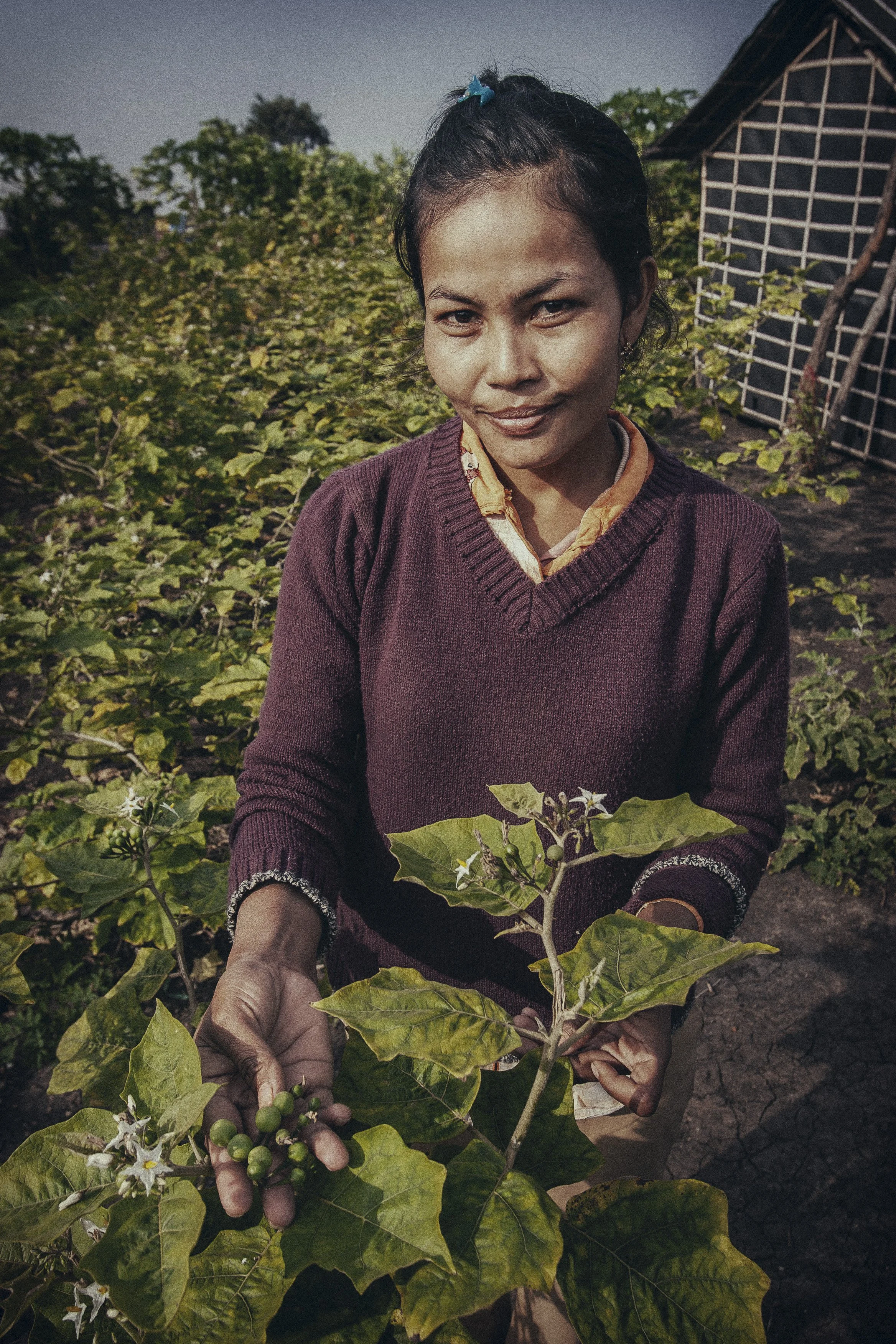 Farmer - Poipet, Jankiri Village
