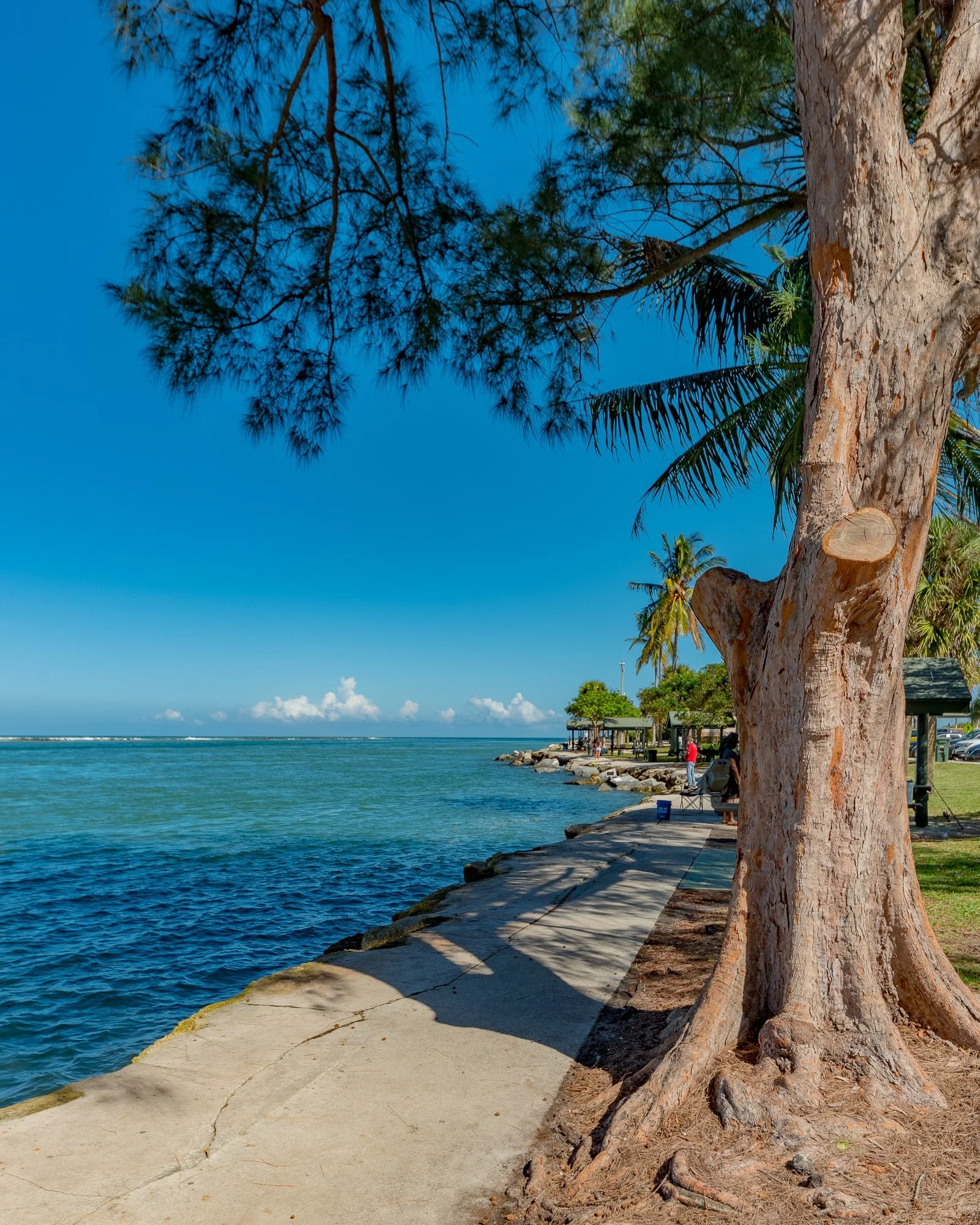 Fort Pierce, FL 34949-32.jpg
