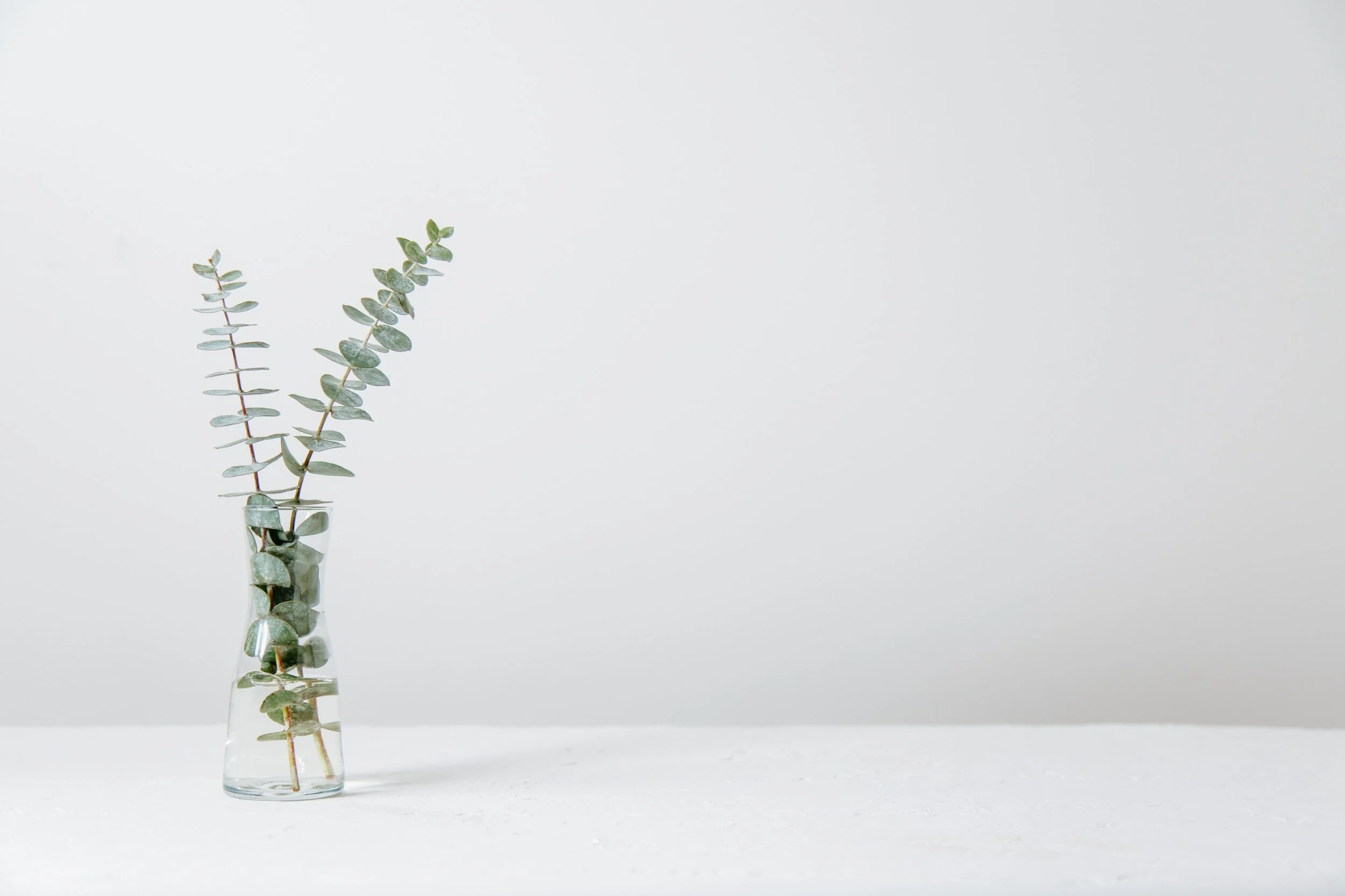Understanding the Common Therapeutic Approaches