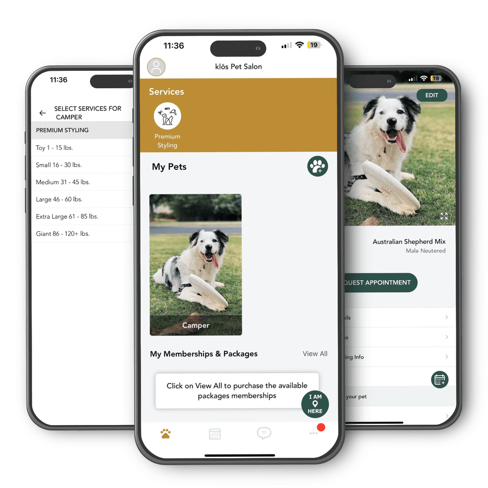 Contact 1 — KLŌS Fine Pet Salon Grooming in Alpharetta, GA