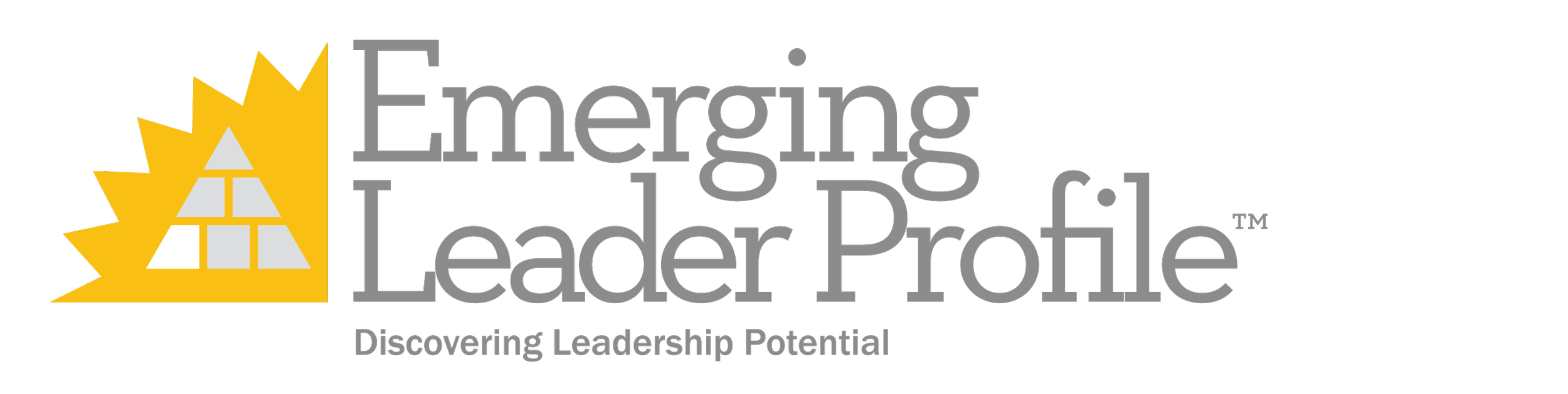 Emerging Leader Profile_2.png