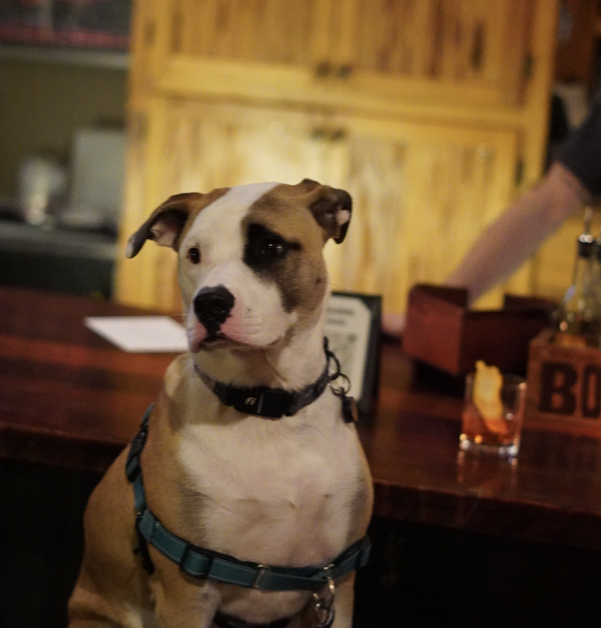 YAPPY HOUR