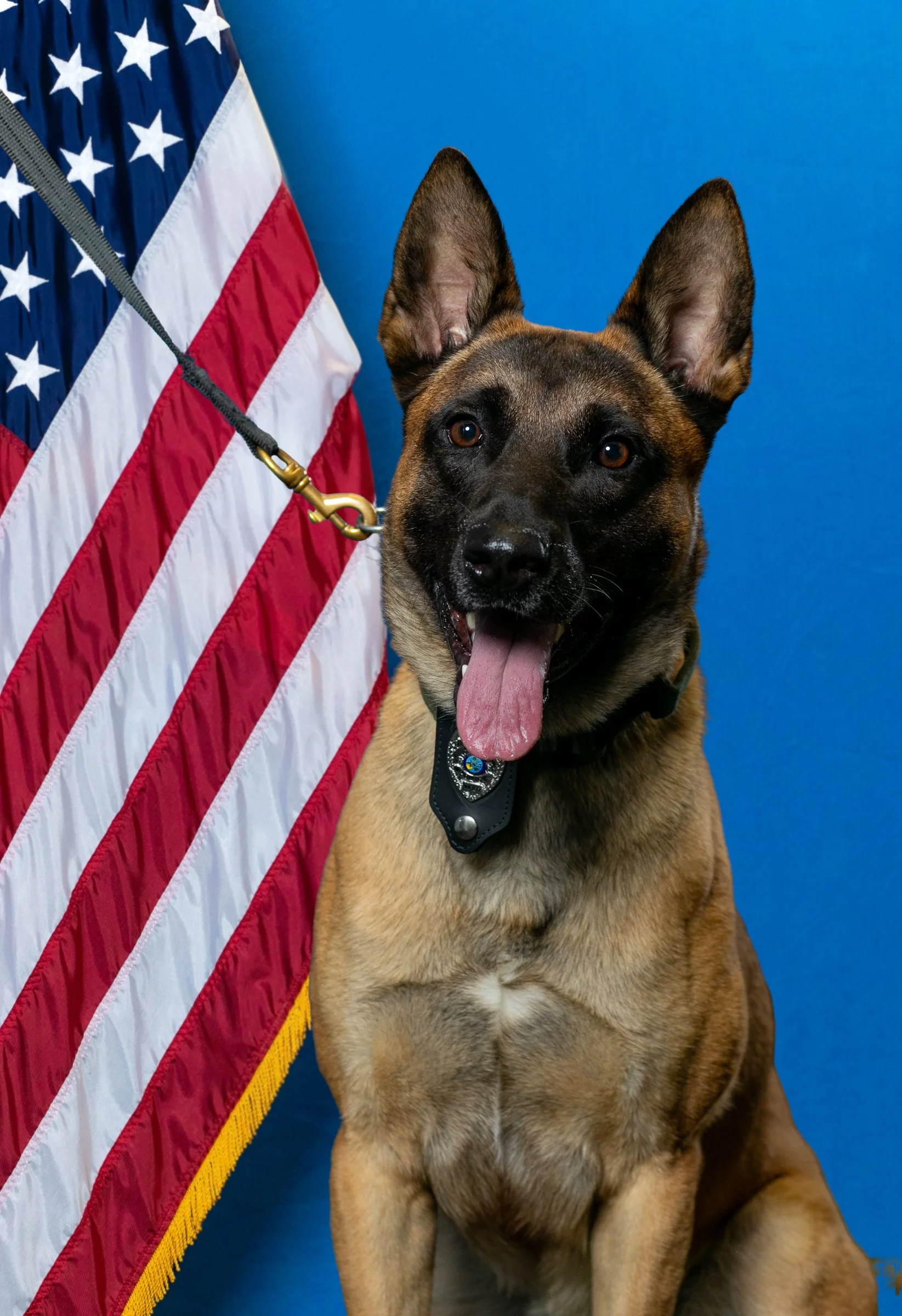 ocoee-police-department-k9-photo.jpg