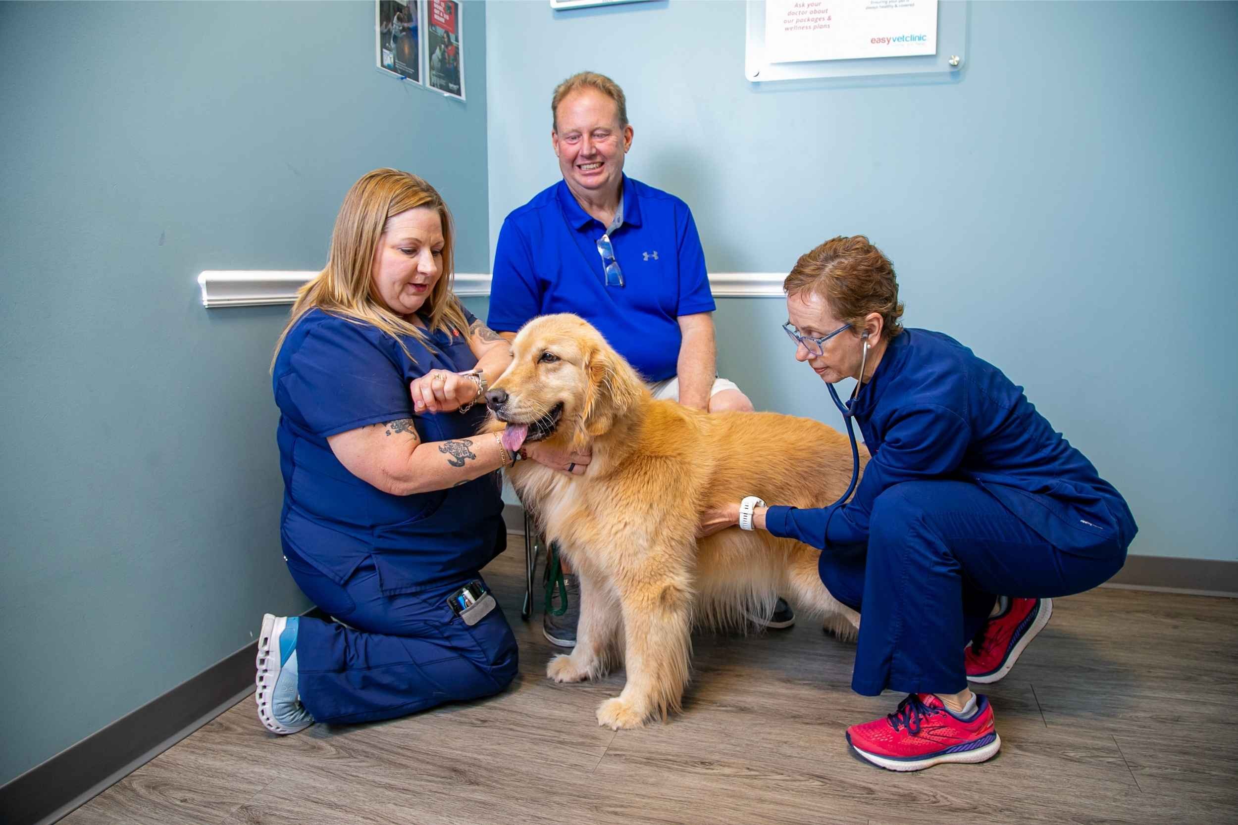 Veterinarian examining a golden retriever dog while two veterinary staff members, one woman and one man, assist in a pet clinic for an advertising photography session by Cannonfire Photography in Winter Garden.