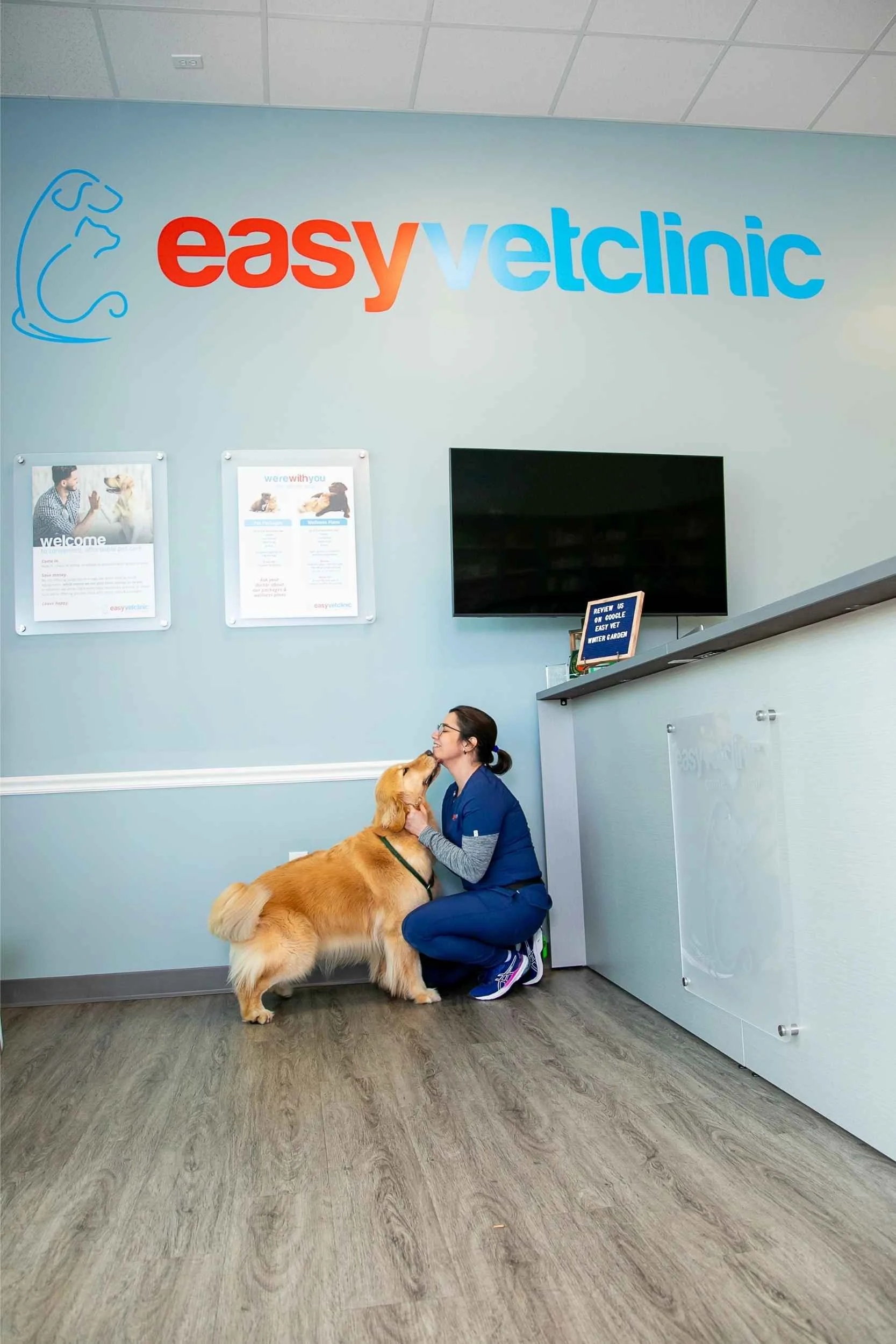 A woman in blue scrubs kneeling and petting a golden retriever dog inside a veterinary clinic. The clinic has a blue wall with a large 'easyvetclinic' sign and some posters. There is a flat-screen TV and a display stand on the counter.