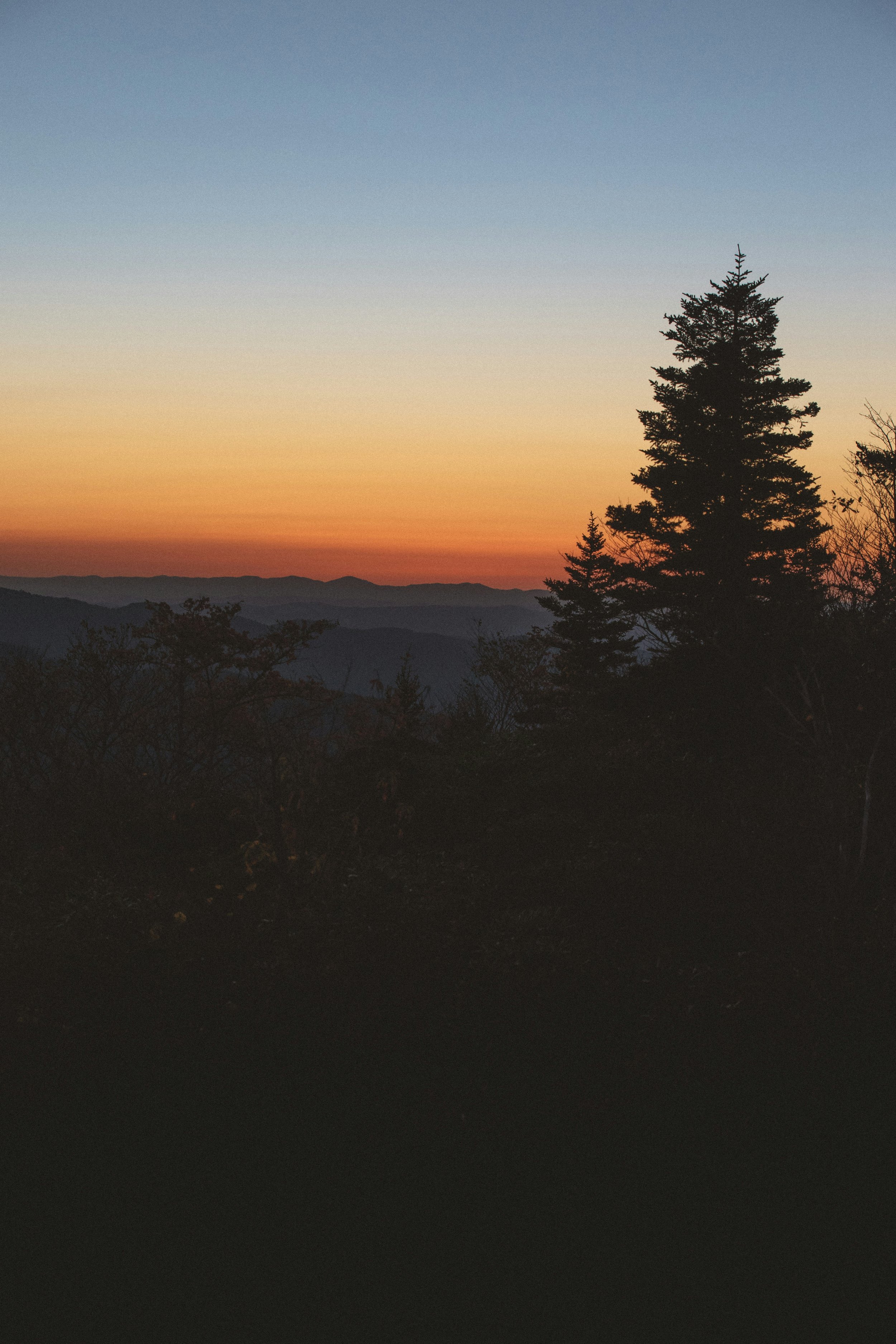 Turn and Face the Sun