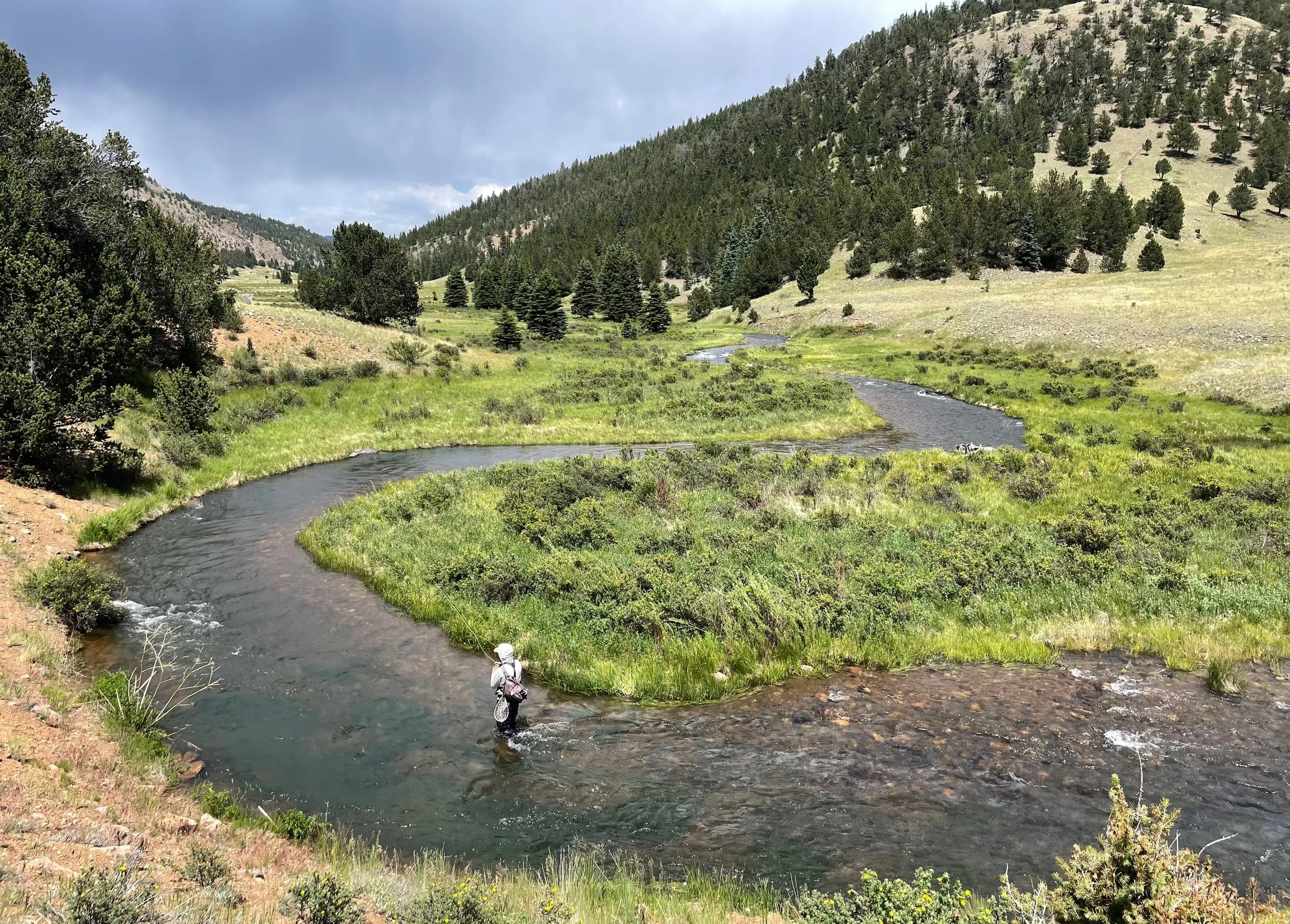 Daylighting Courage Creek