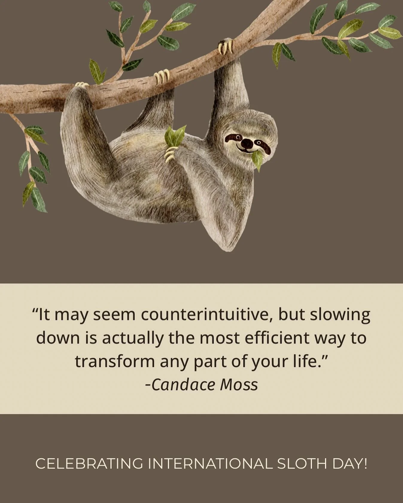 Celebrating the glorious sloth, my spirit animal! ✨🦥✨

Slowing down is often the most challenging shift for my students and clients.

They also say it&rsquo;s what has created the most immediate and profound changes in their lives.

We tend to assoc