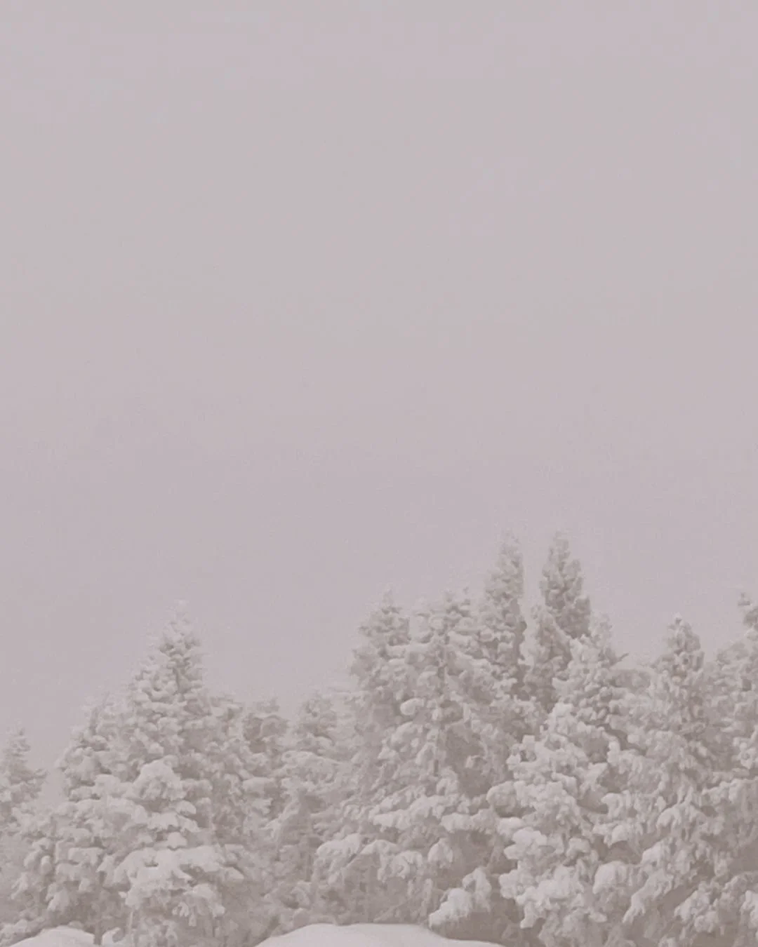 The Body Knows How to Heal (when it feels safe)