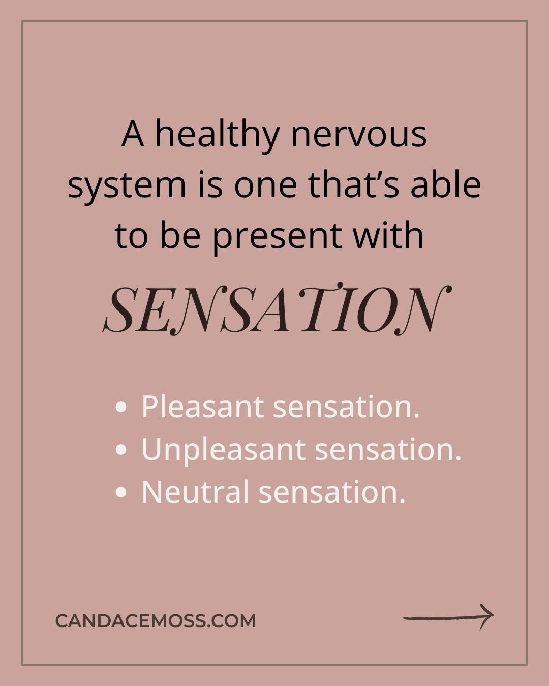 Nervous system healing can&rsquo;t happen from the mind alone. Because safety, warmth, and belonging aren&rsquo;t concepts&mdash;they&rsquo;re sensations.

This is the shift from mentally understanding your nervous system to slowly, gently experienci