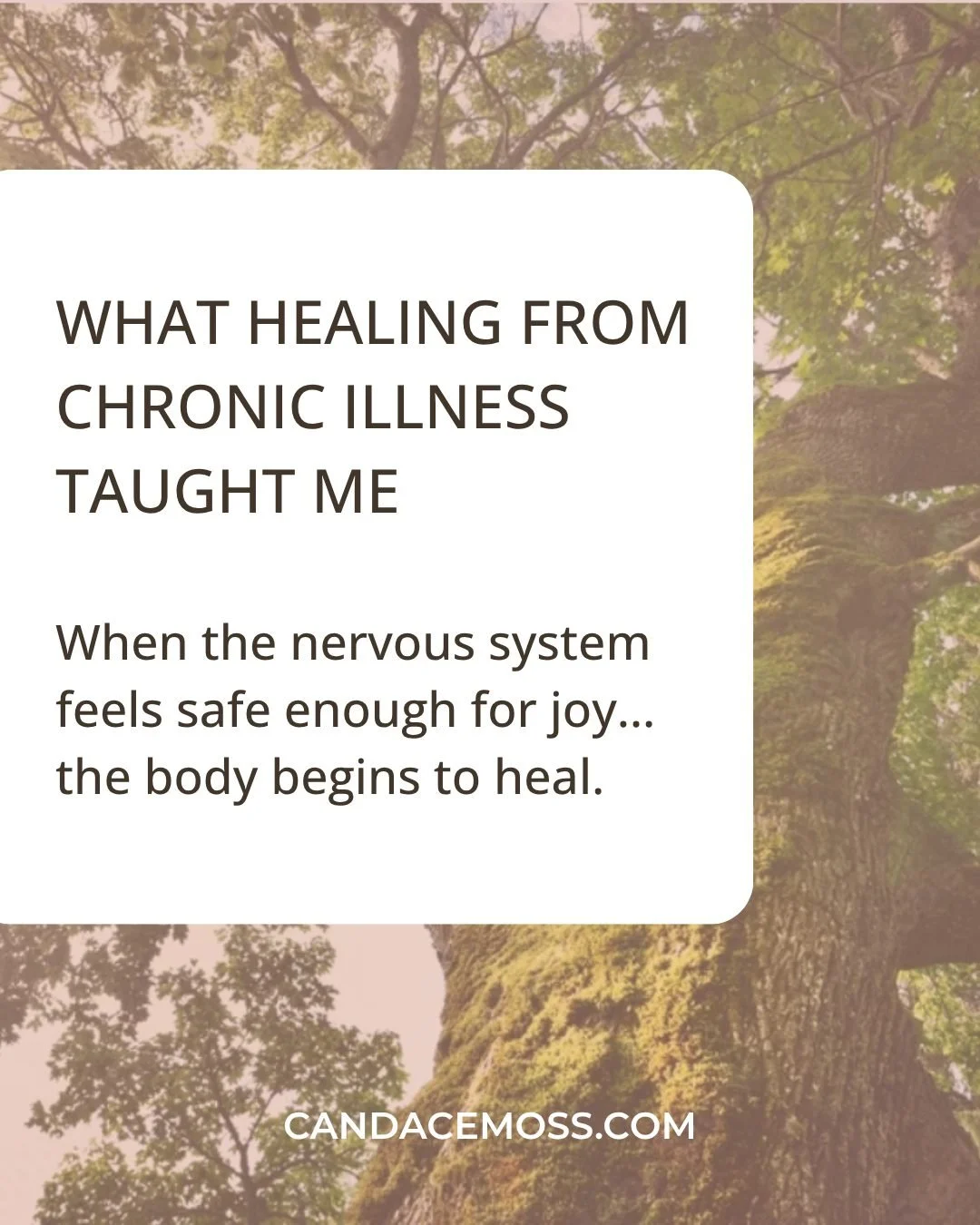 Your body deserves relief.
Your heart deserves abundant joy.
And you deserve peace.
Not just someday, but today.

If you live with anxiety, depression, chronic stress, or illness, and your nervous system feels like it&rsquo;s stuck in &ldquo;on&rdquo