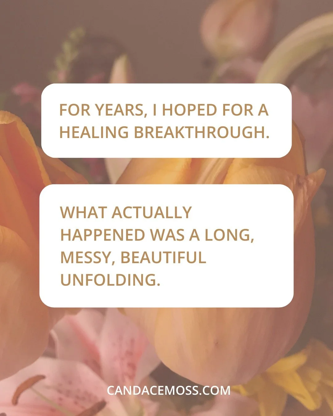 People assume healing looks like breakthroughs... mine looked like long, slow seasons.

When it was finally time to come out of my darkest season, it felt like a slow-motion unfurling. 

Spring doesn&rsquo;t hurry its buds.
Neither does the body when