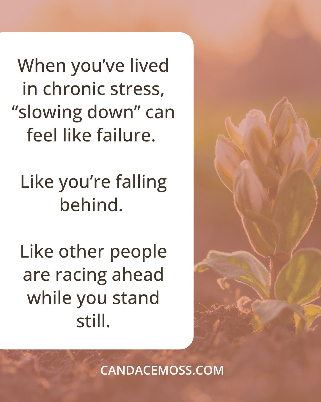 Slowing down is not a delay in healing.
It is the healing.

Try this: 
Take any tiny movement, a shoulder shrug, a neck roll,  and do it at half the speed you normally would. Then half it again.
Notice what happens.
When you slow down, your body has 
