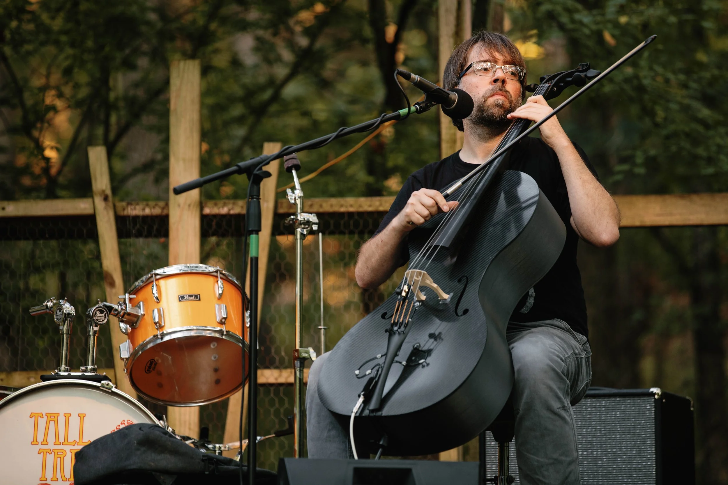 Live at Tall Trees 2025