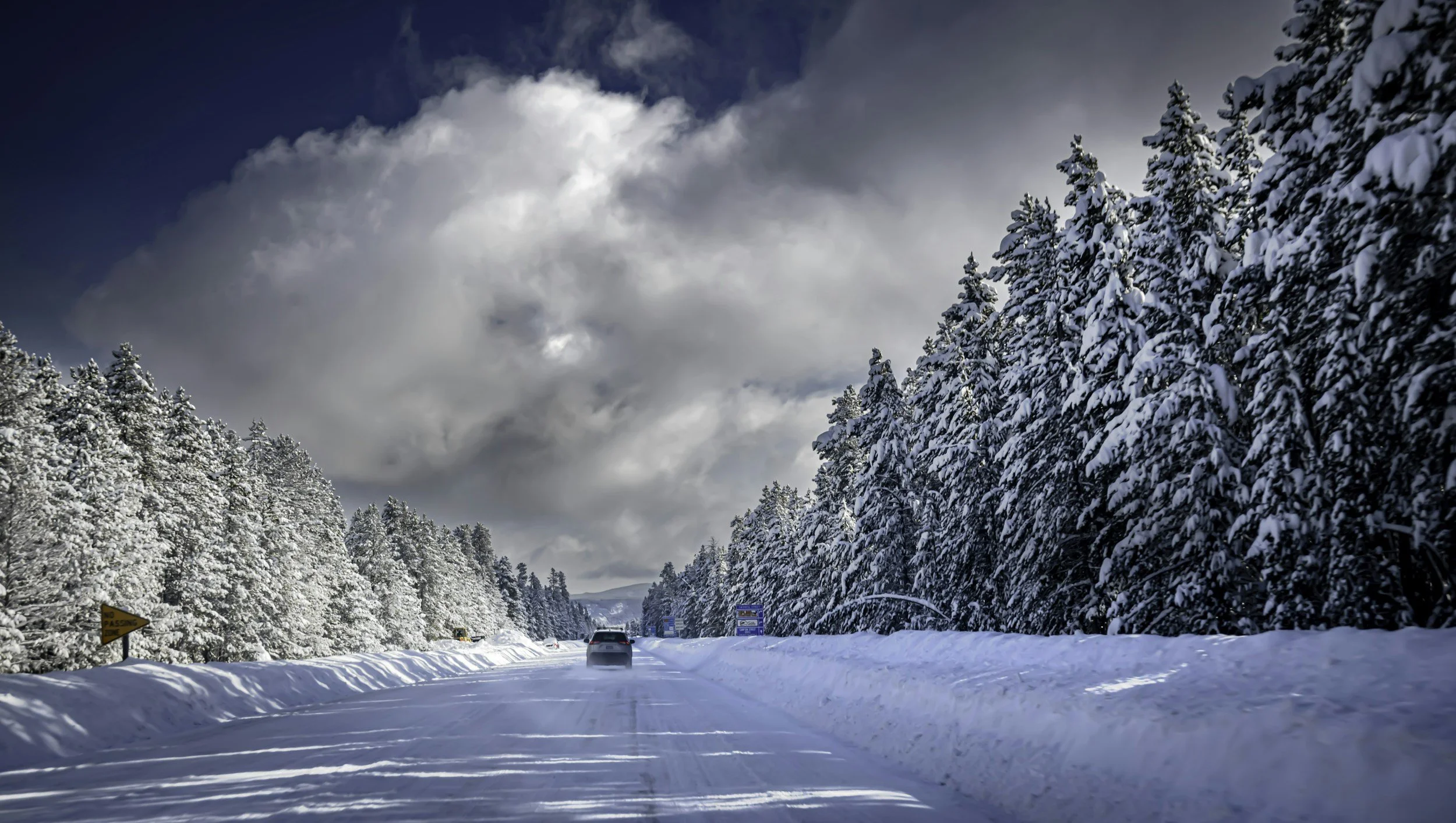 Holiday Travel Survival Guide