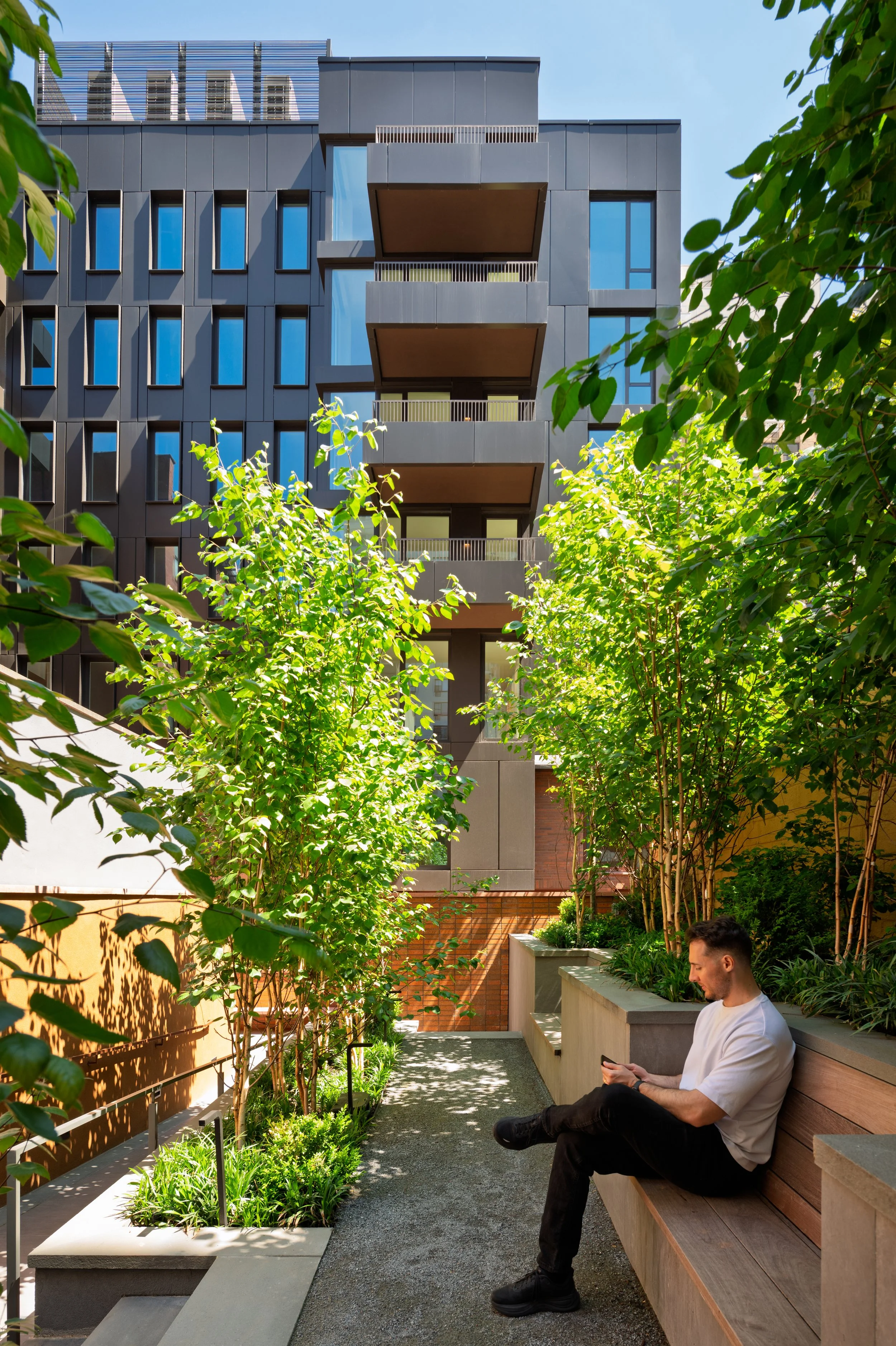 tminieri_LindenLane-22.jpg