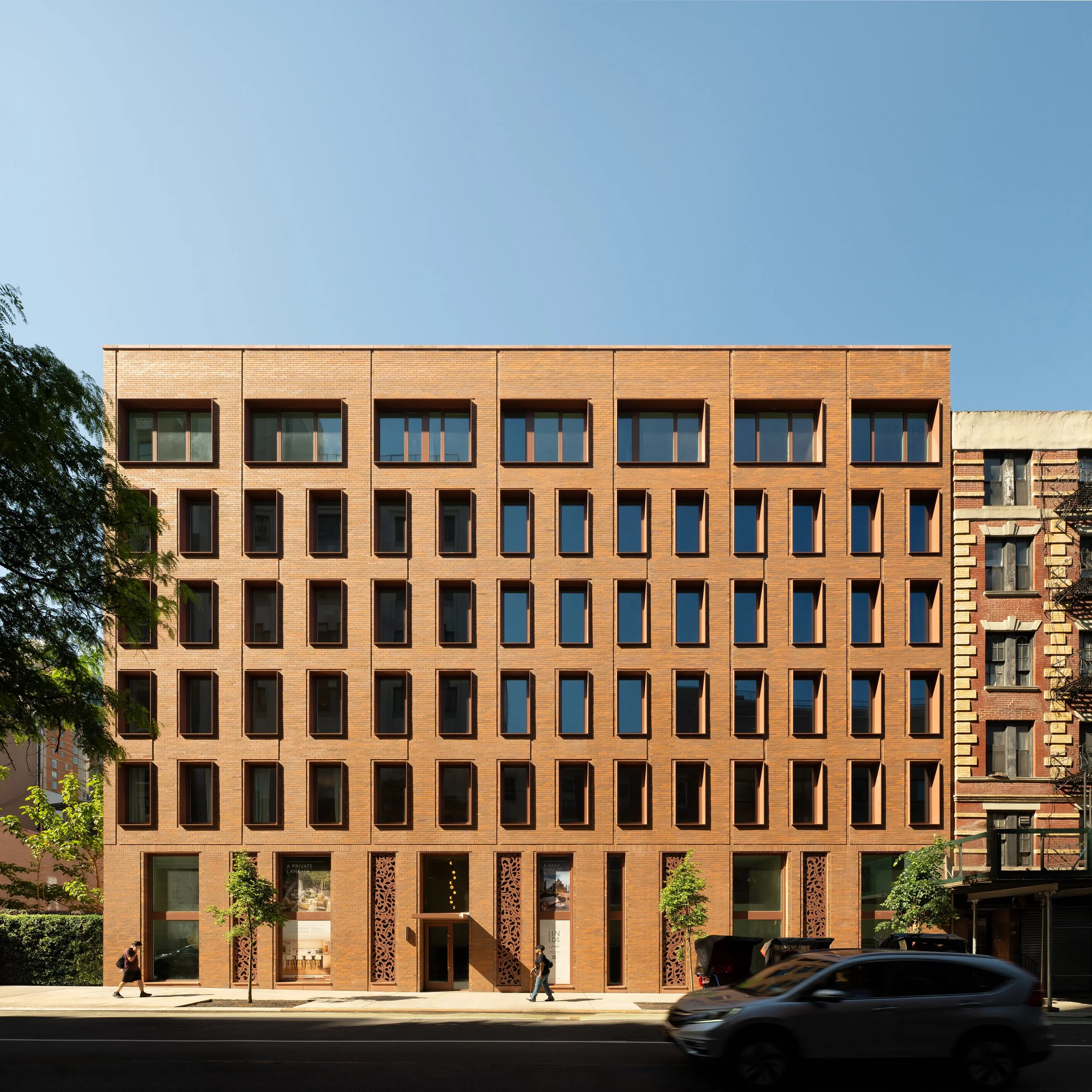 tminieri_LindenLane-15.jpg