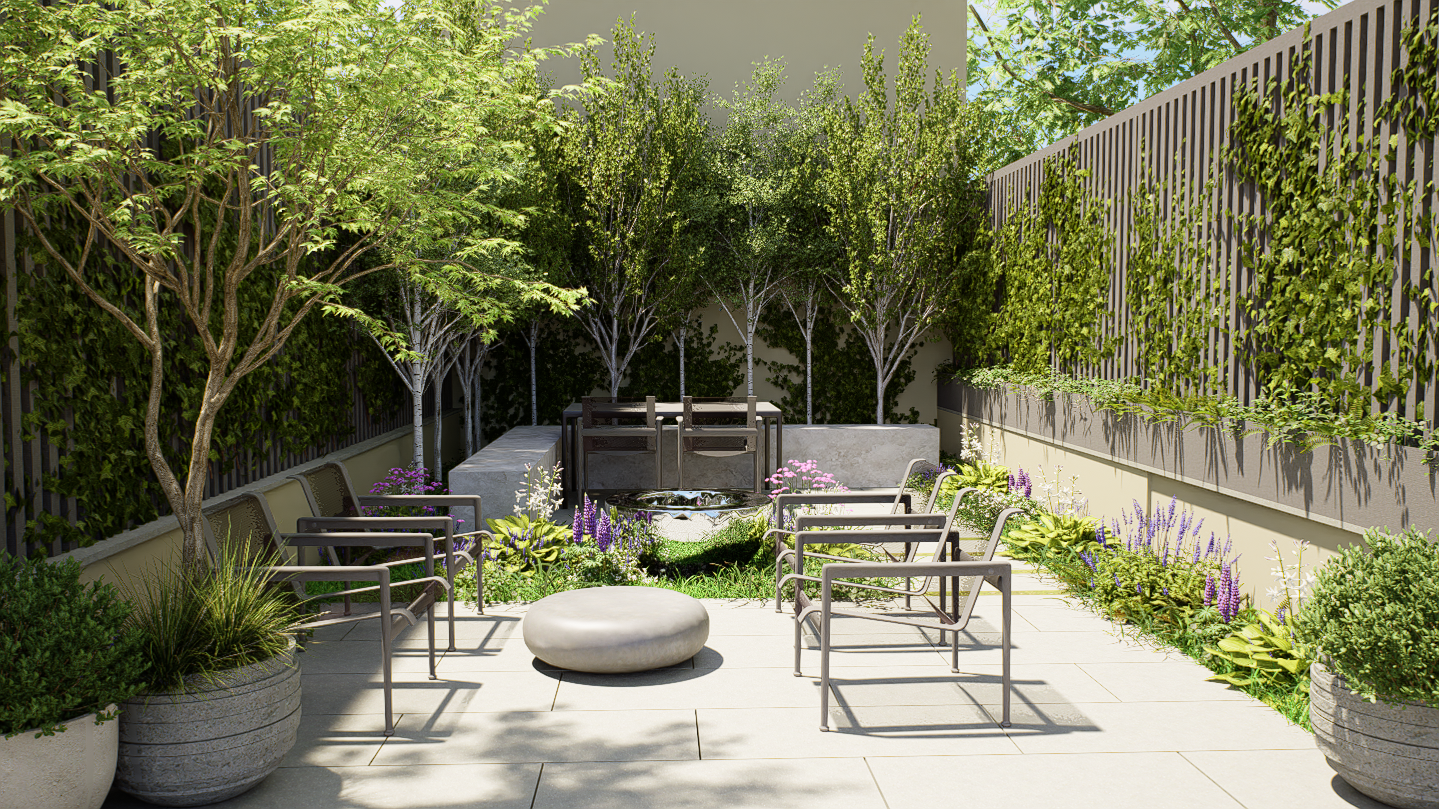 Rear Yard B.png