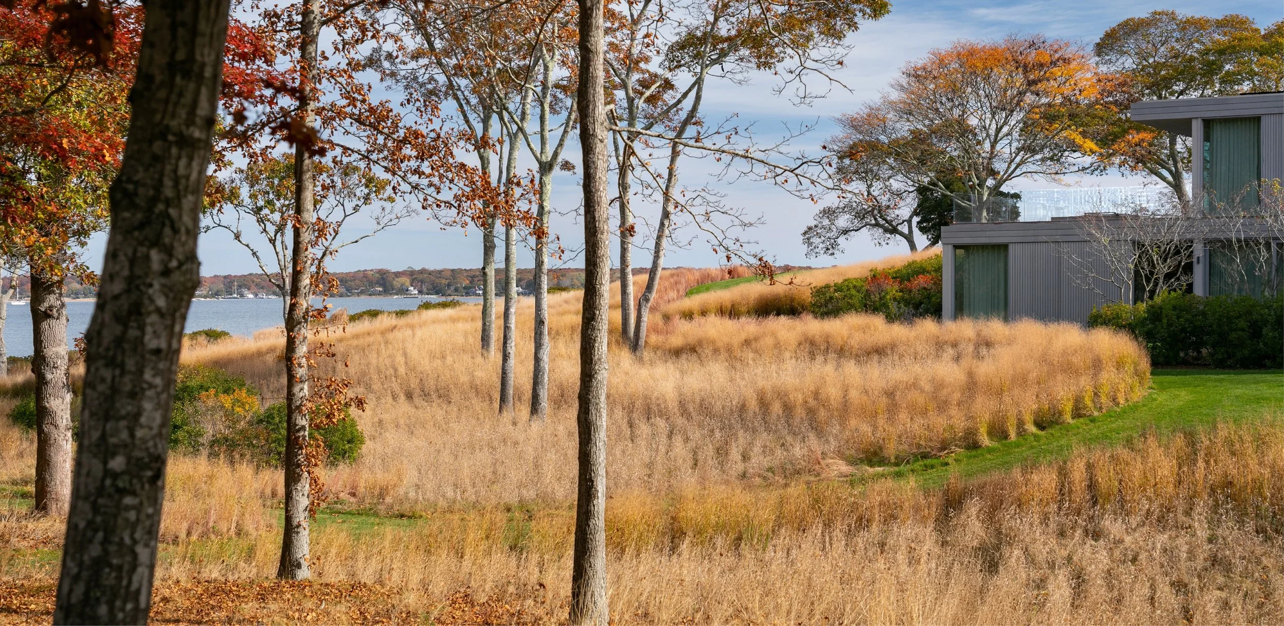 Springy Banks_ASLA National 2025_8.jpg