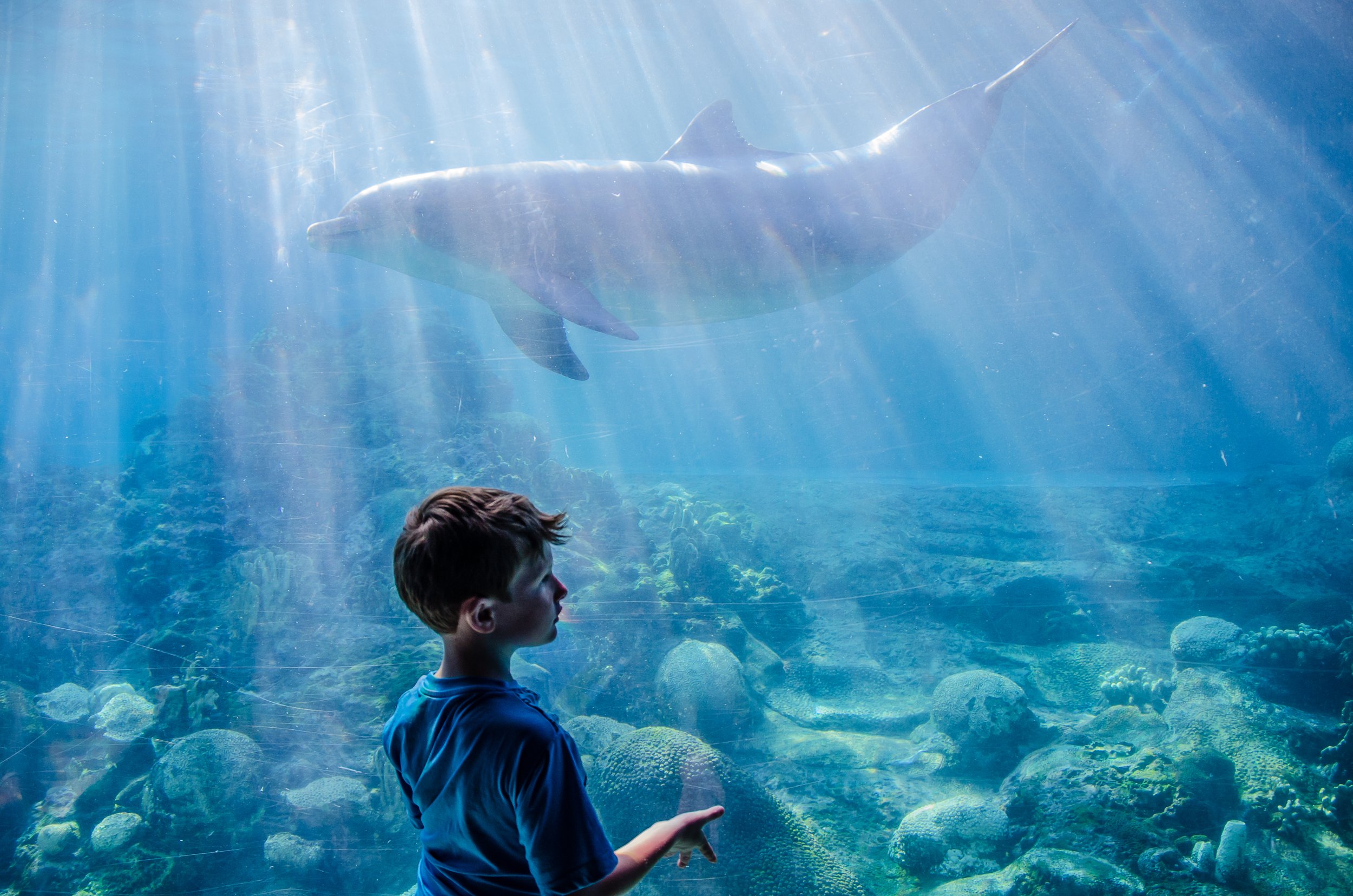 Exploring Family-Friendly Wonders: Top 10 USA Cities for Young Children