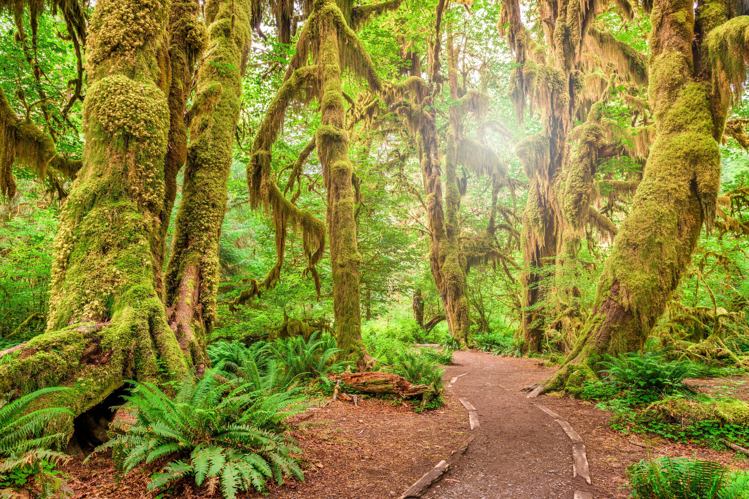 10 Affordable and Unique Hidden Gems to Explore Across the United States