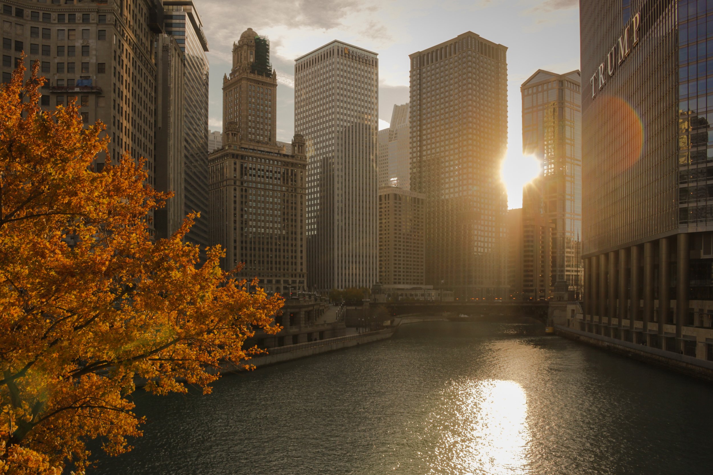 Fall Adventures in Chicago: Top 10 Must-Do Activities to Embrace