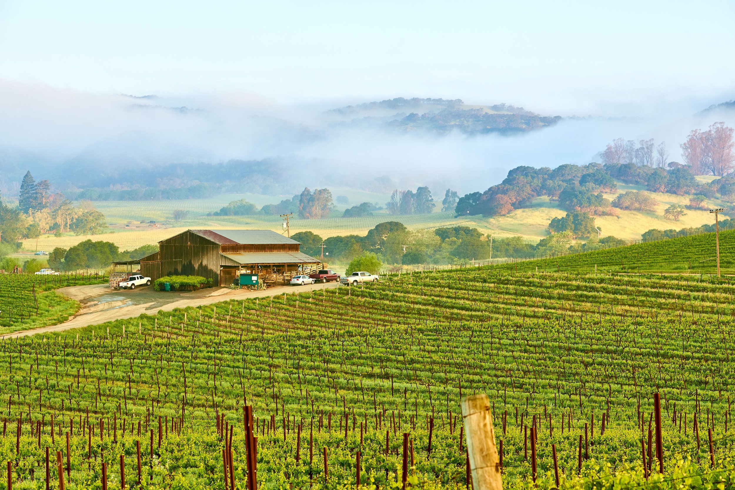 Embracing Autumn's Splendor: Napa Valley in the Fall