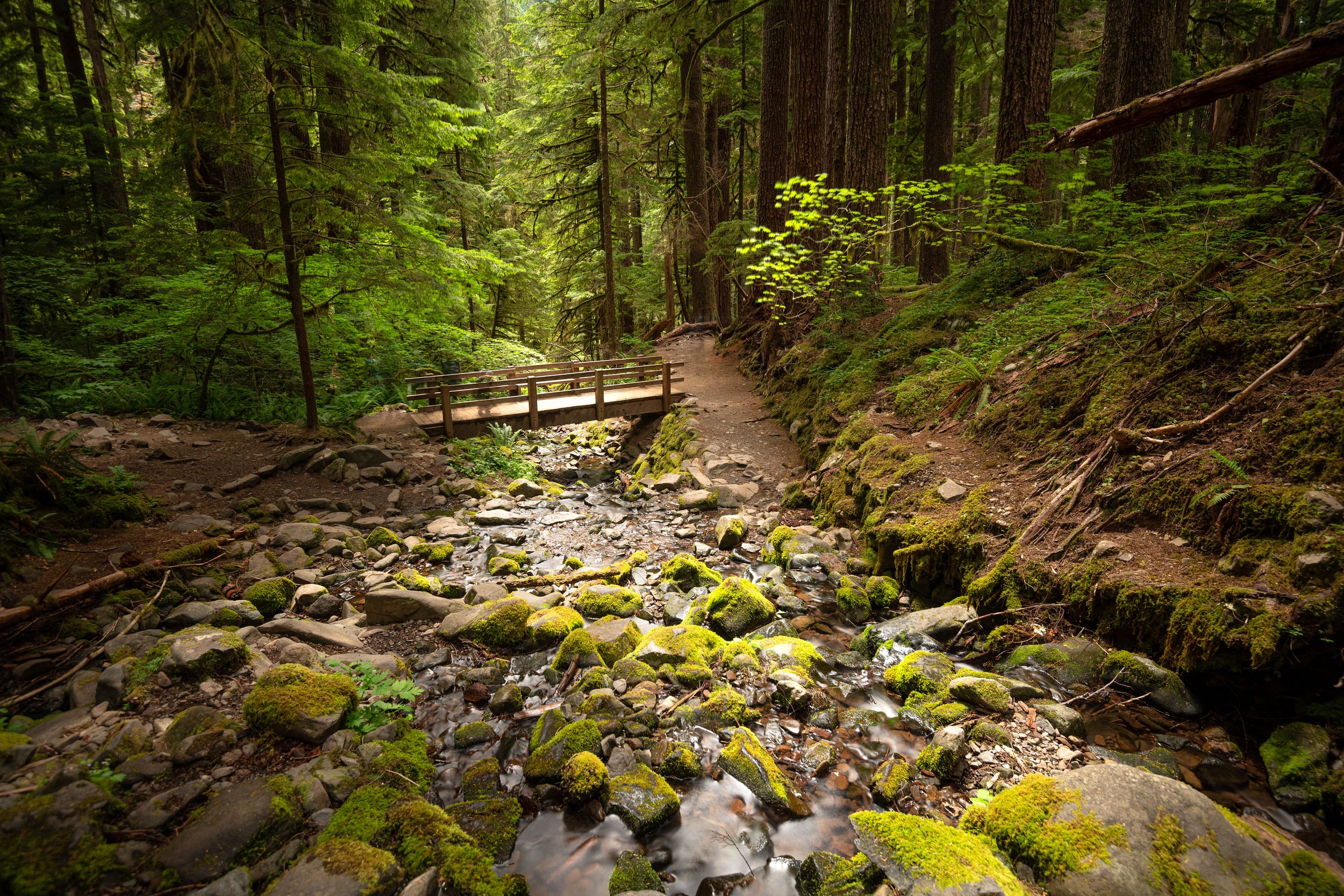 Unveiling Uncharted Wonders: 15 Astonishing Travel Spots in the United States