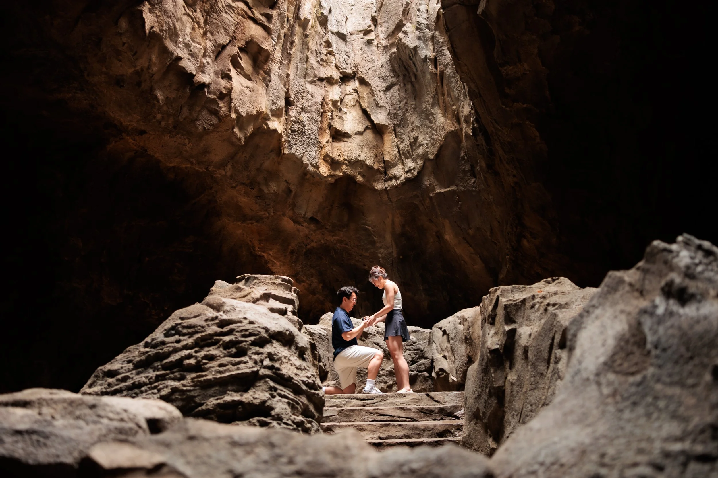 Rainforest Wild Asia