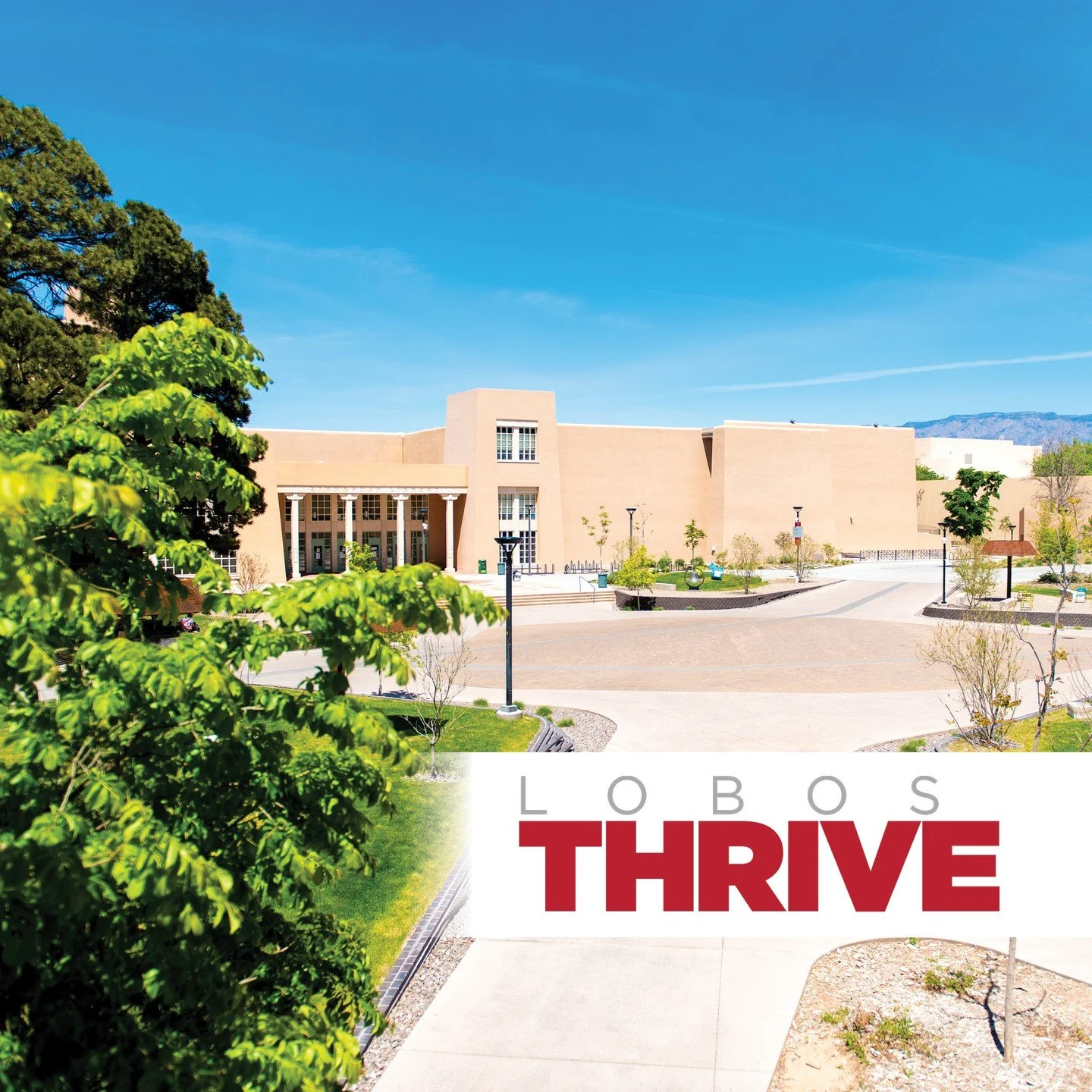 Every Lobo deserves to thrive!

With the holidays around the corner, we&rsquo;re coming together to help UNM students and families find the support they need. 🎁

Your gift helps fight food and housing insecurity and makes a real difference in the li