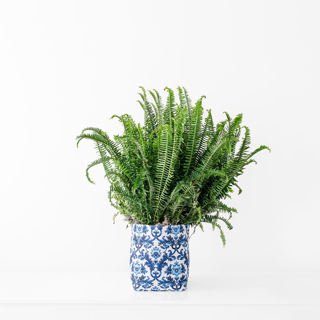 S23BlueDamask-Fern1.jpg
